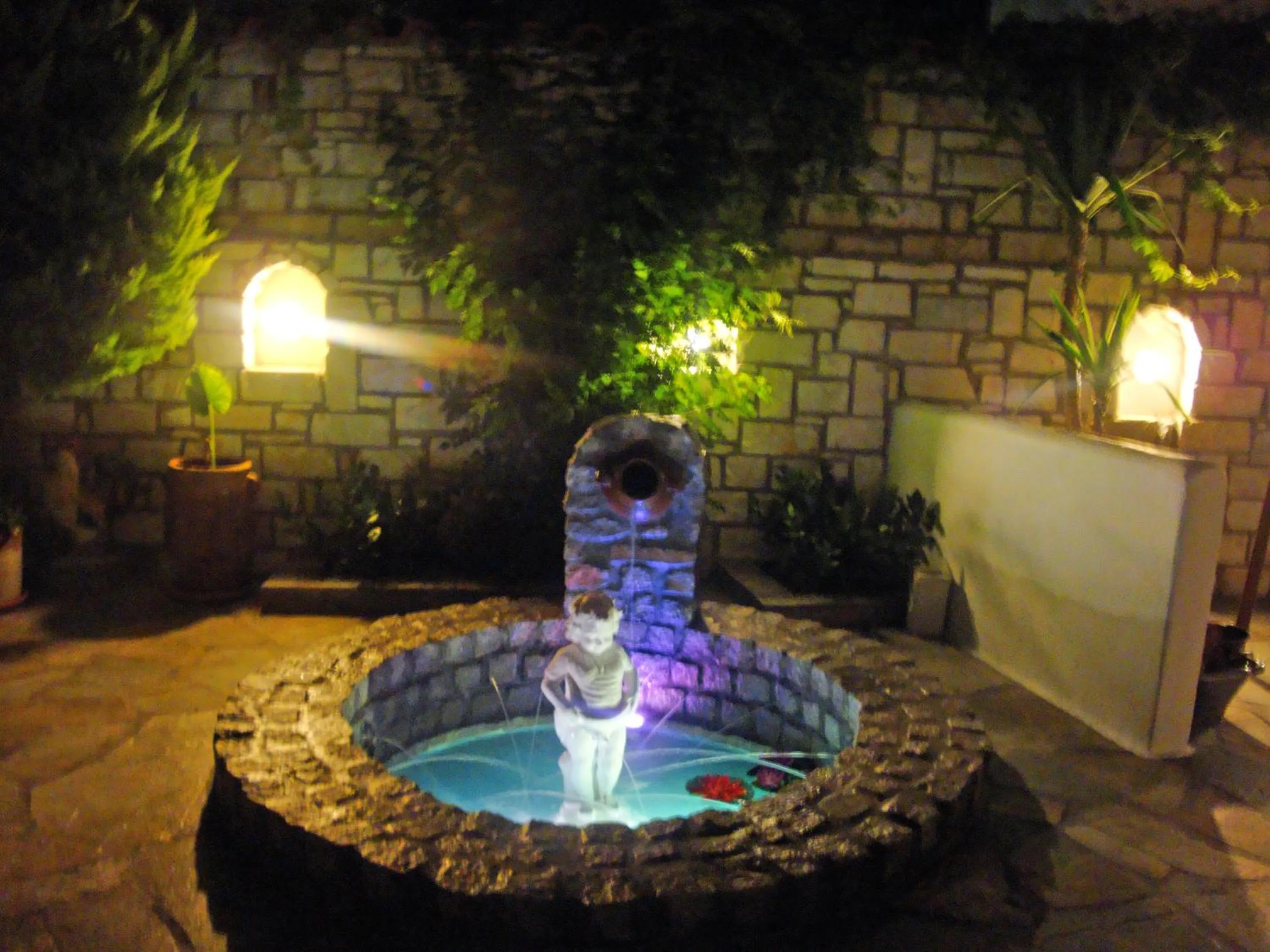 Garden in Vassiliki Rooms