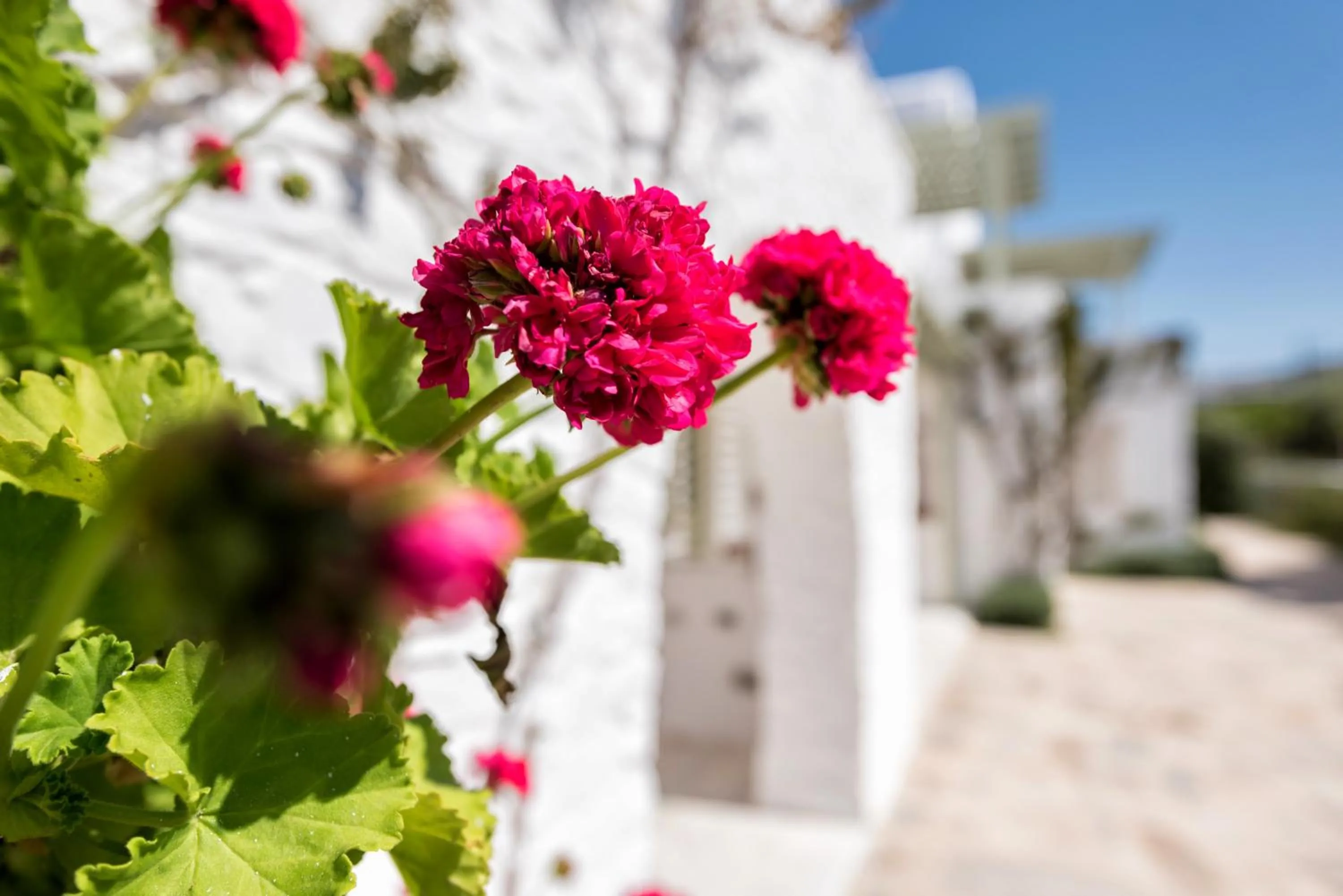 Saint Andrea Seaside Resort - Adults Only