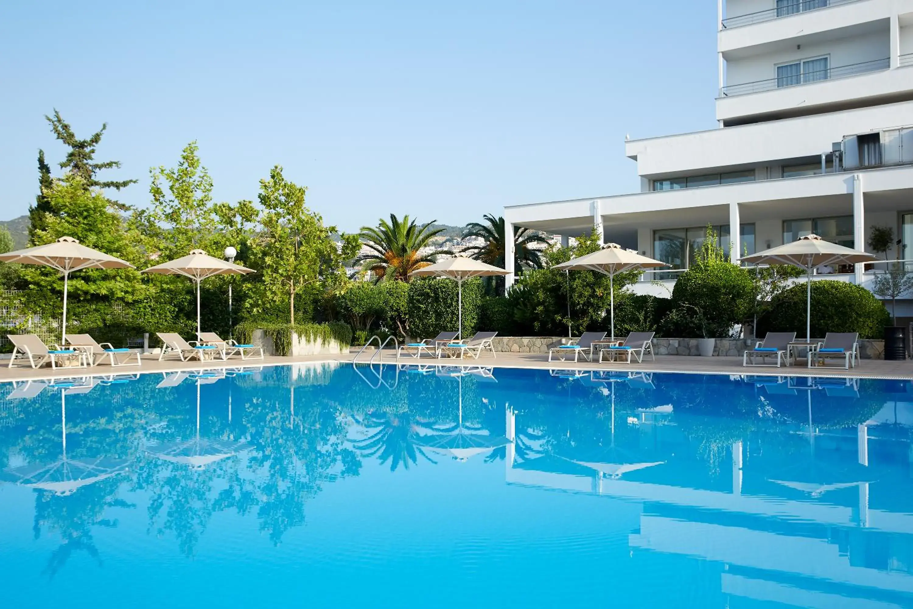 Swimming pool in Lucy Hotel Swimming pool in Lucy Hotel