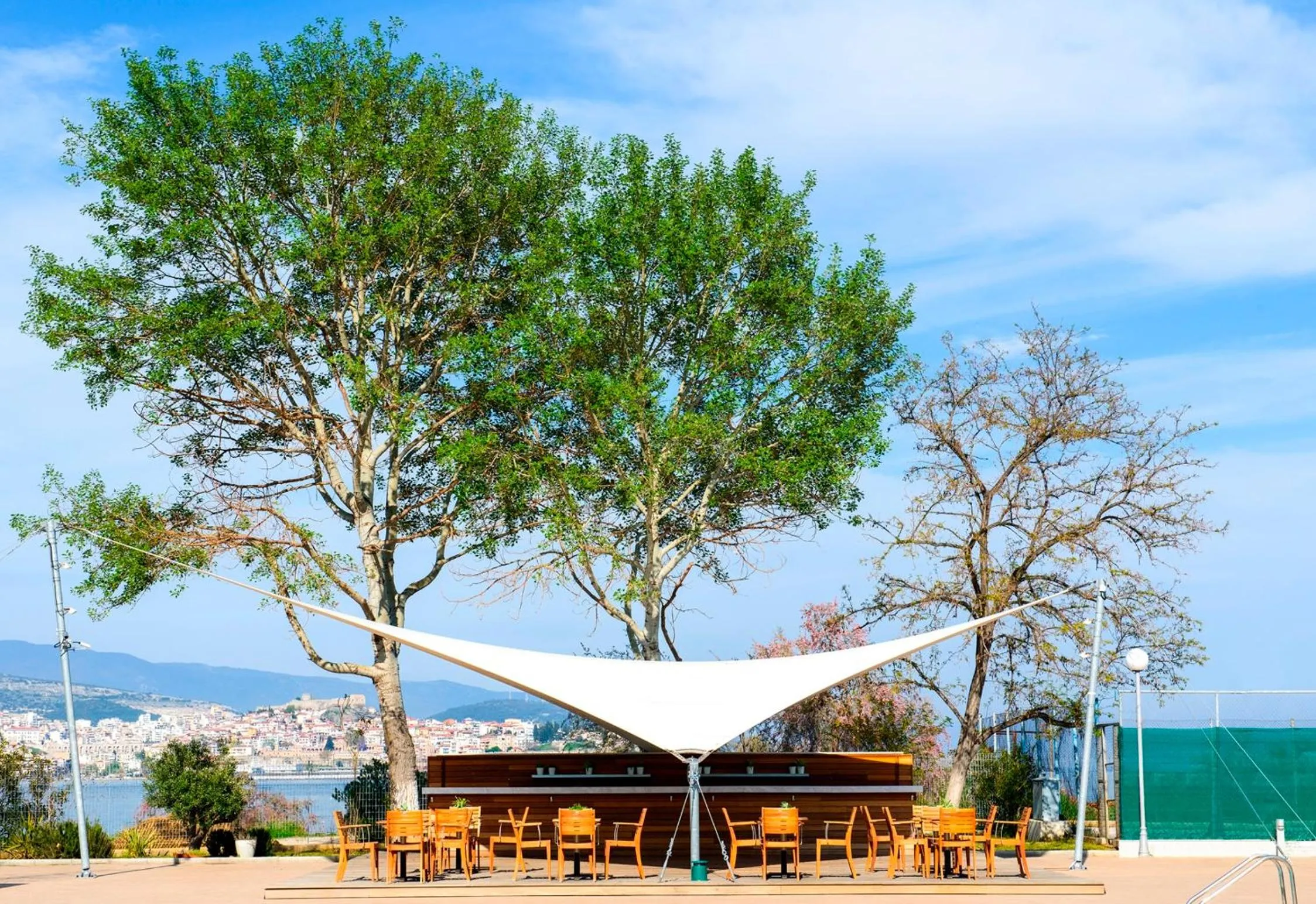 Lounge or bar in Lucy Hotel