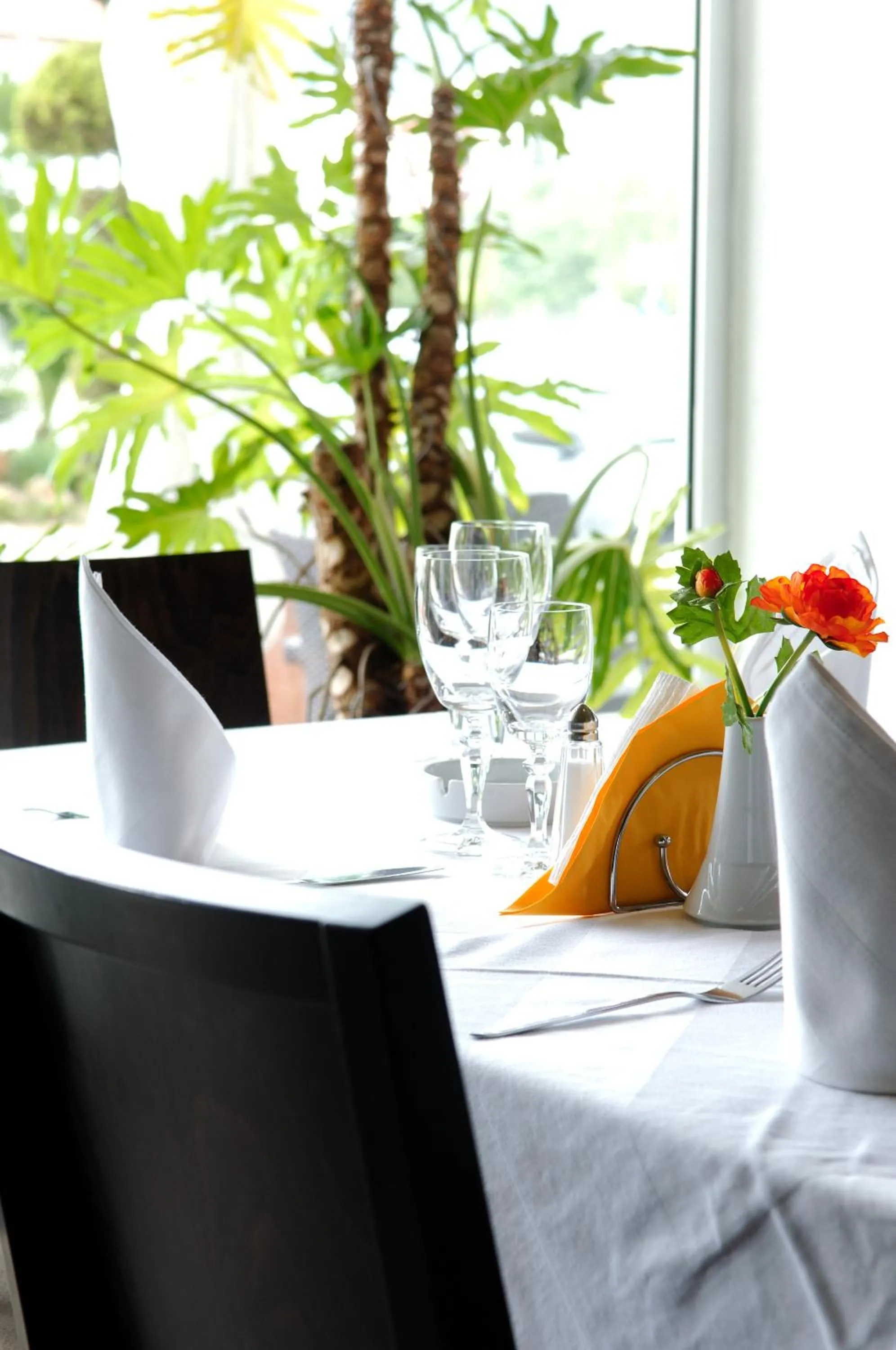 Restaurant/places to eat in Nestos Hotel