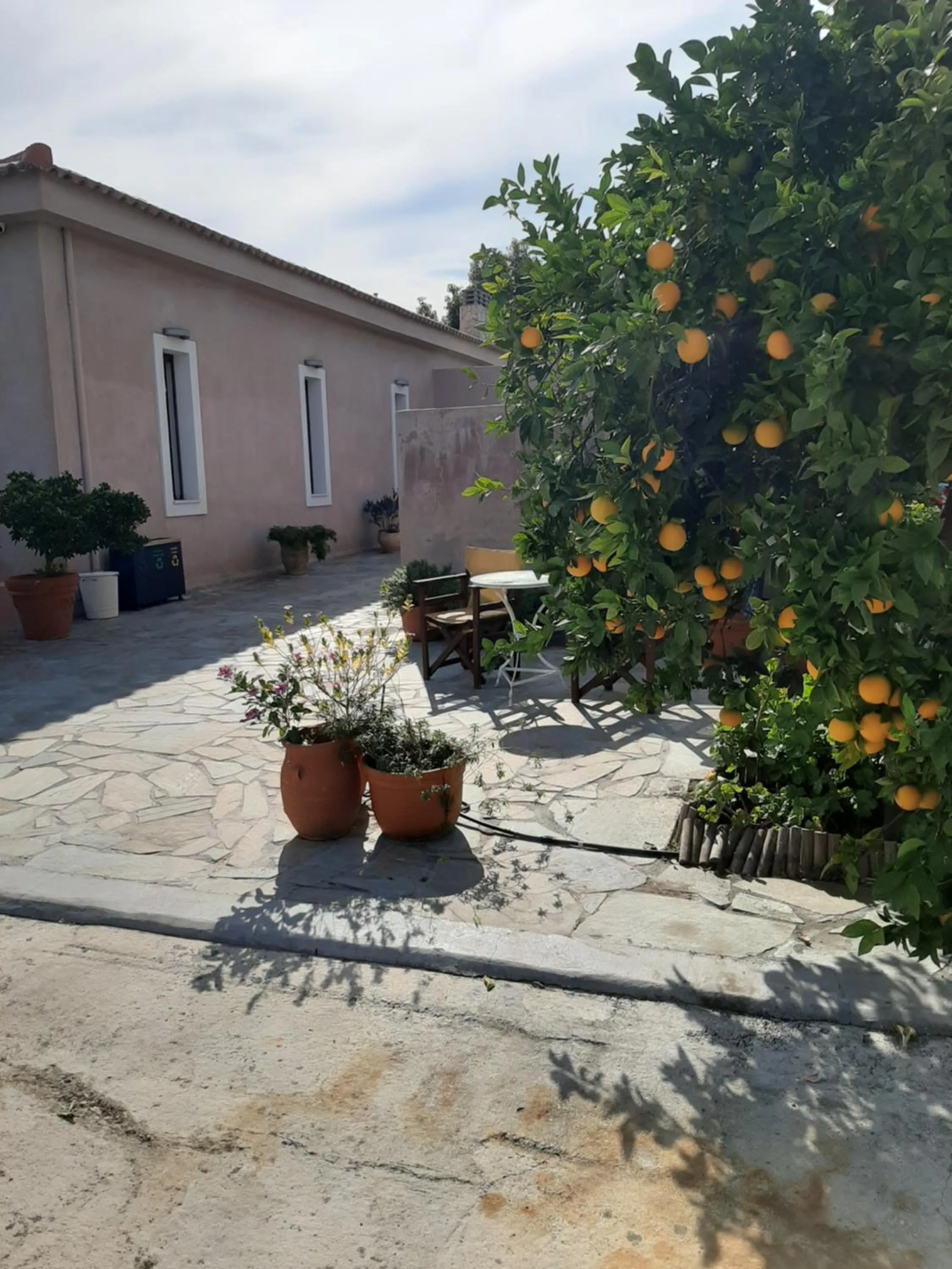 Facade/entrance in Perivoli Country Hotel & Retreat