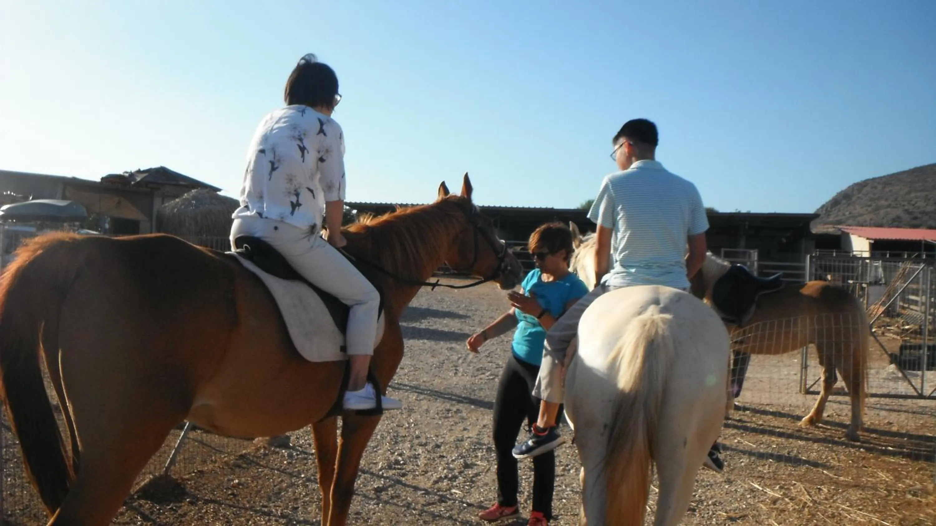 Horse-riding in Perivoli Country Hotel & Retreat