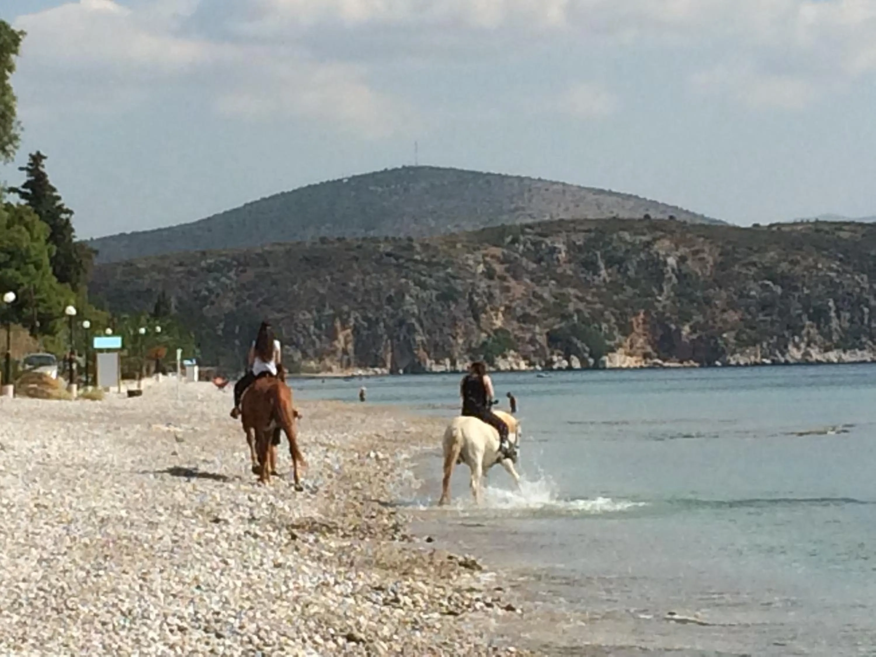 Horse-riding in Perivoli Country Hotel & Retreat