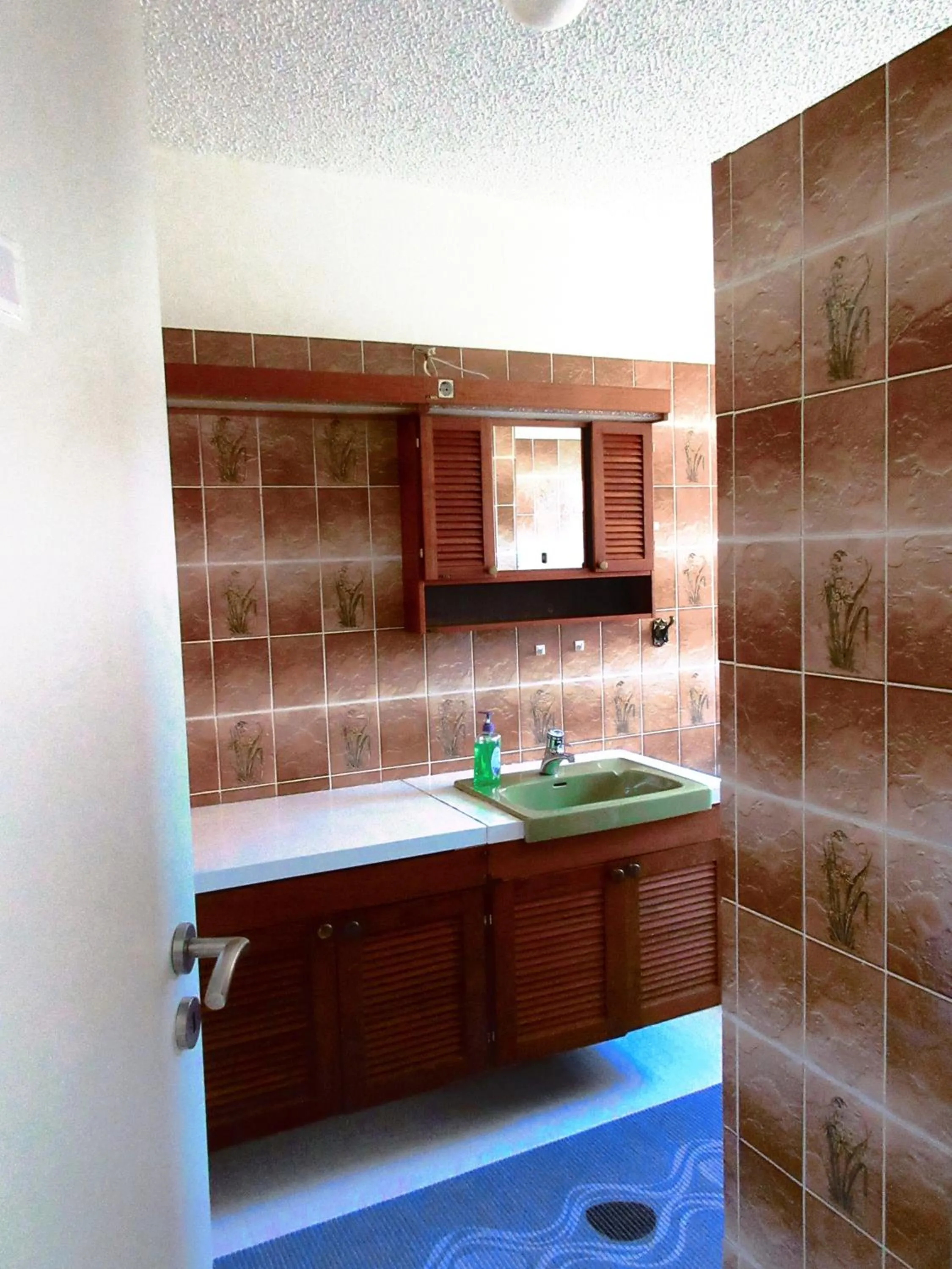 Bathroom in Rauðaberg II