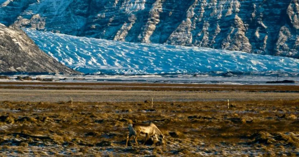 Property building in Rauðaberg II