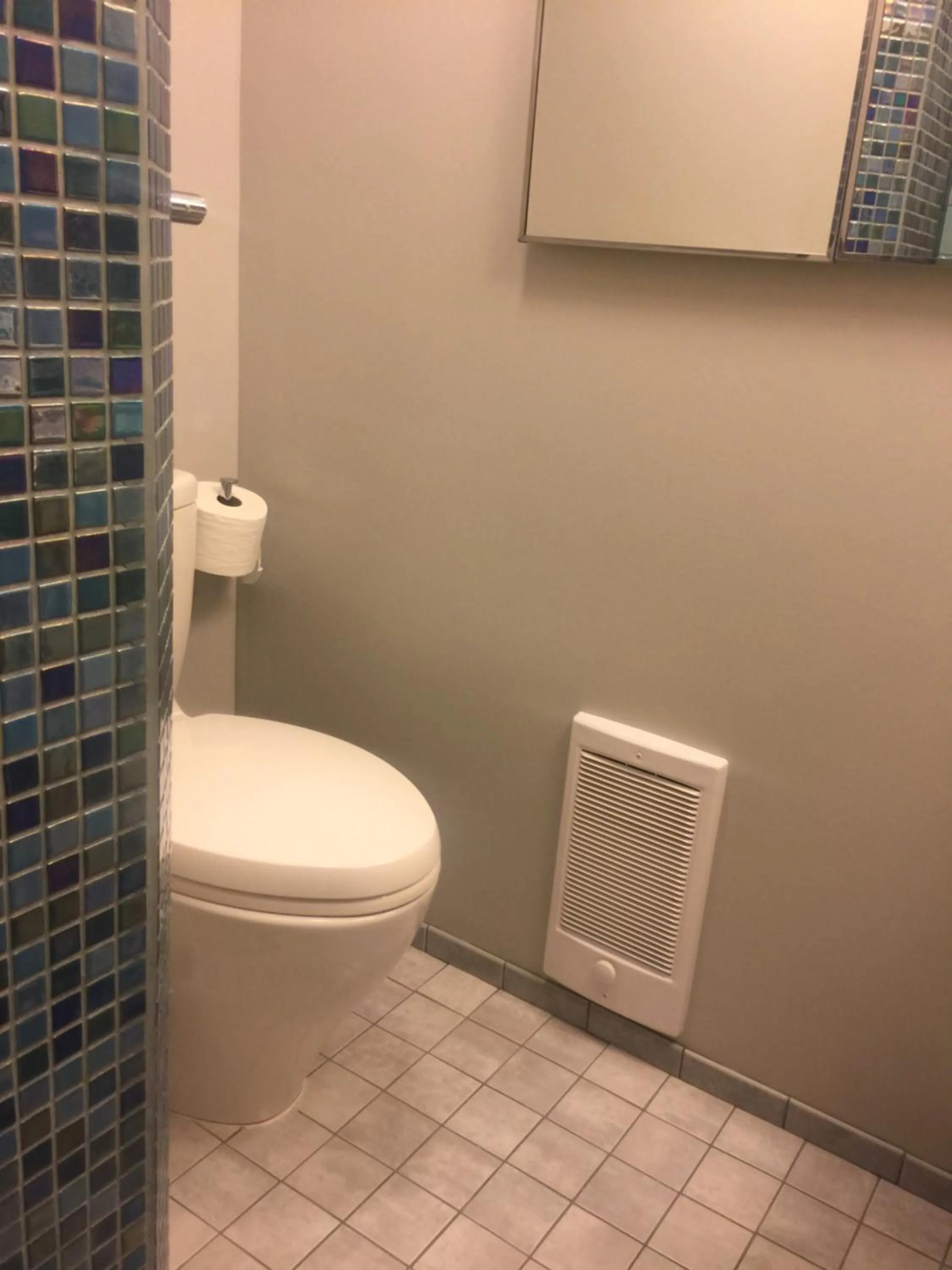 Toilet in Garden Bridge House