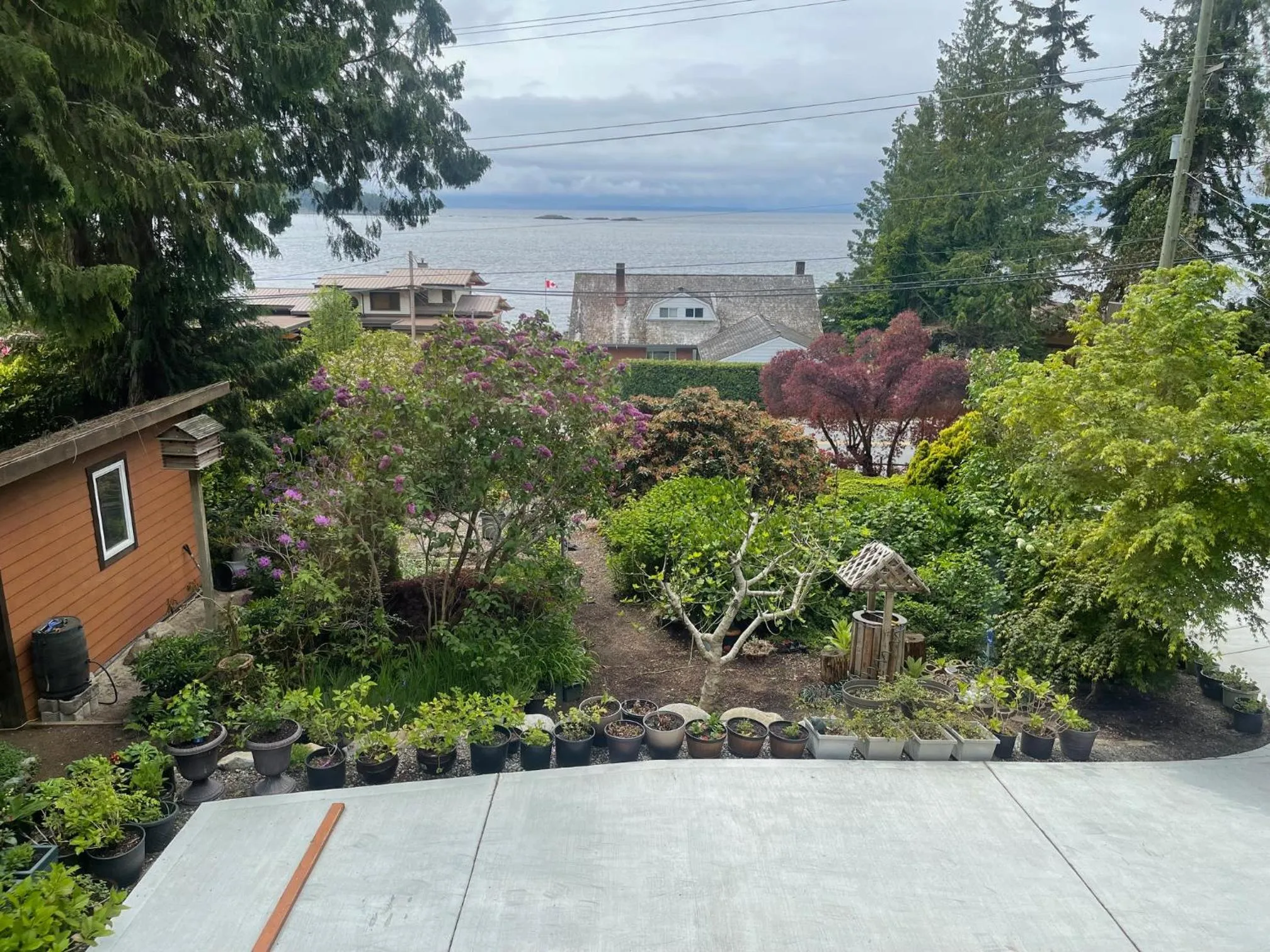 Natural landscape in Garden Bridge House