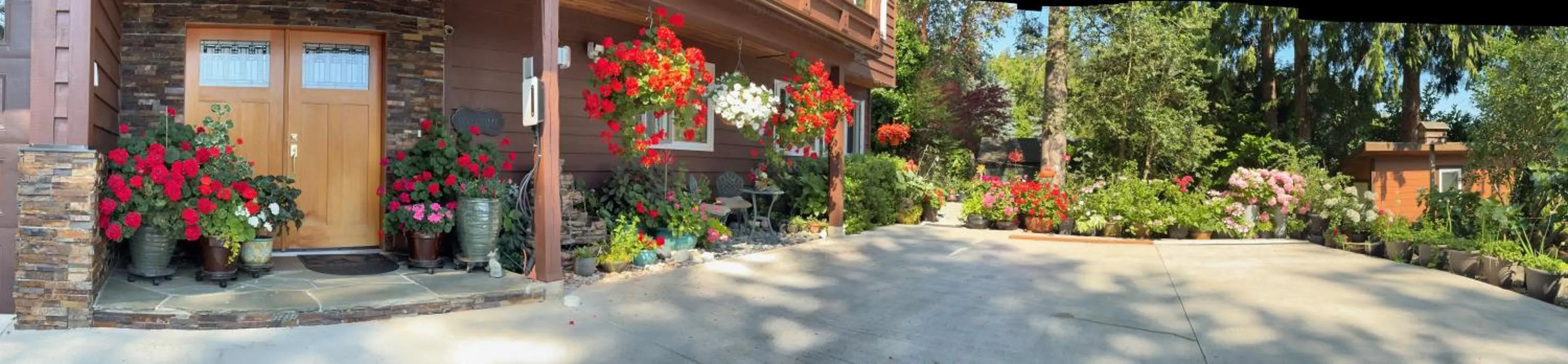 Day in Garden Bridge House