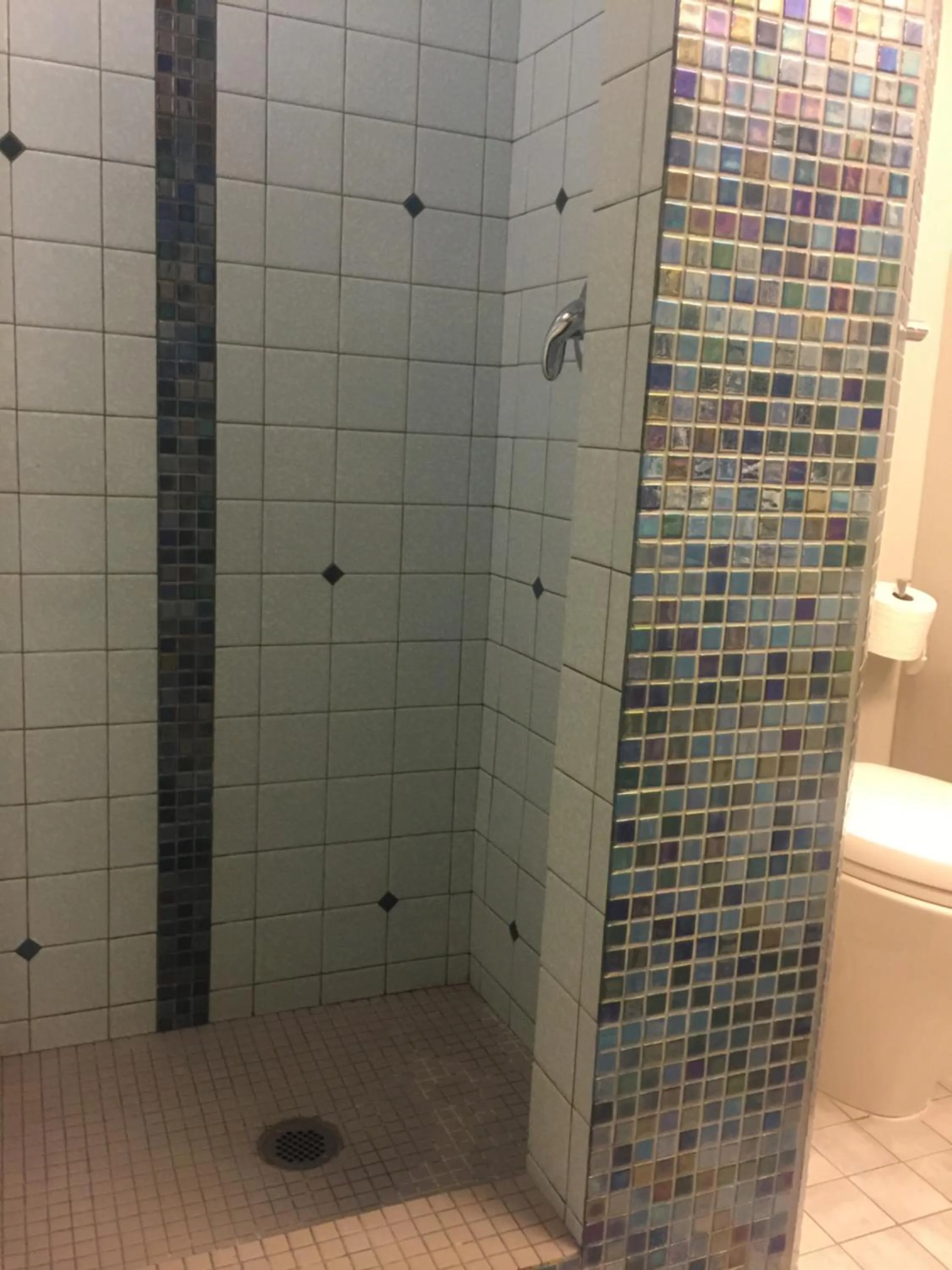 Shower in Garden Bridge House