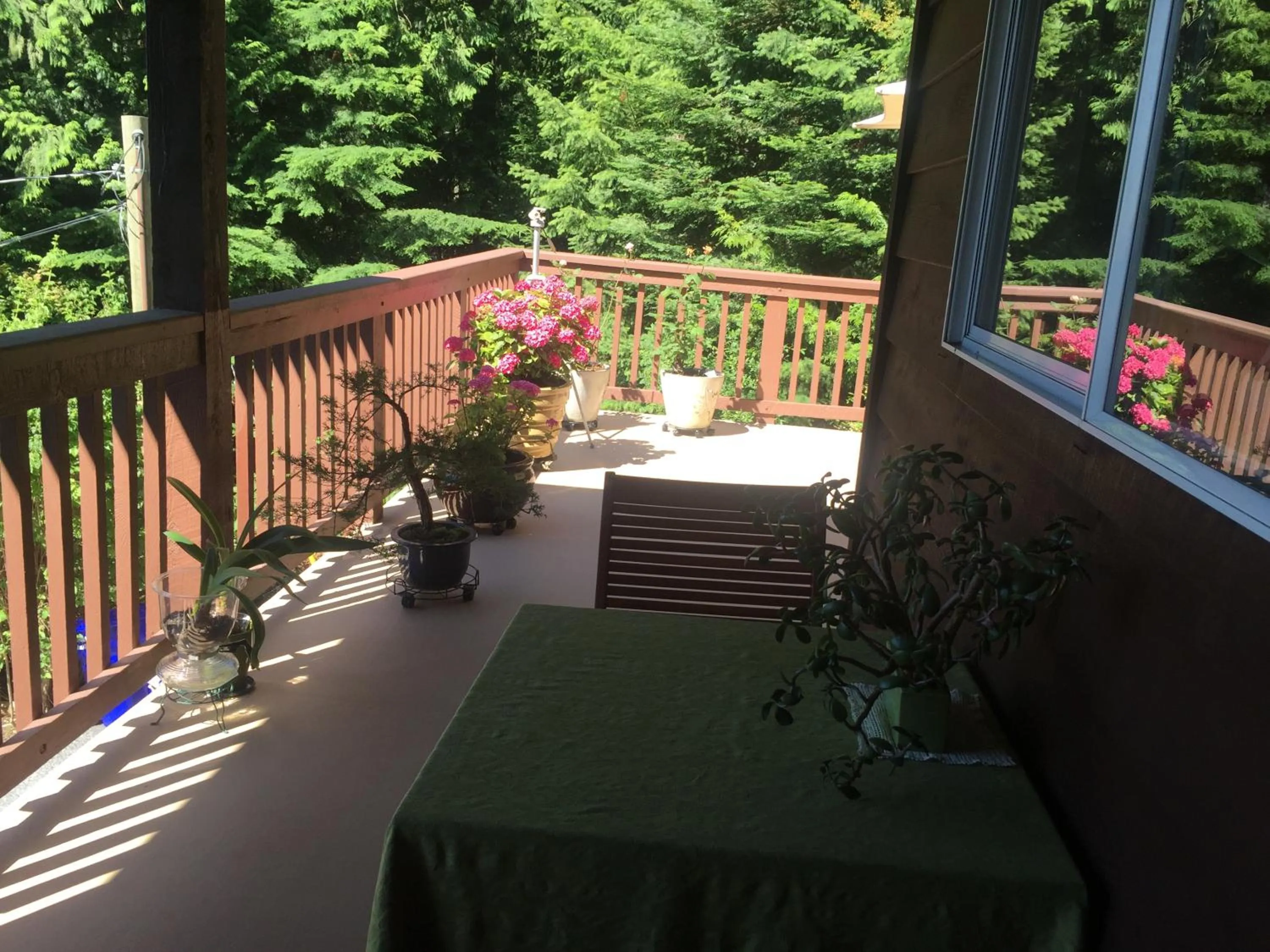 Patio in Garden Bridge House