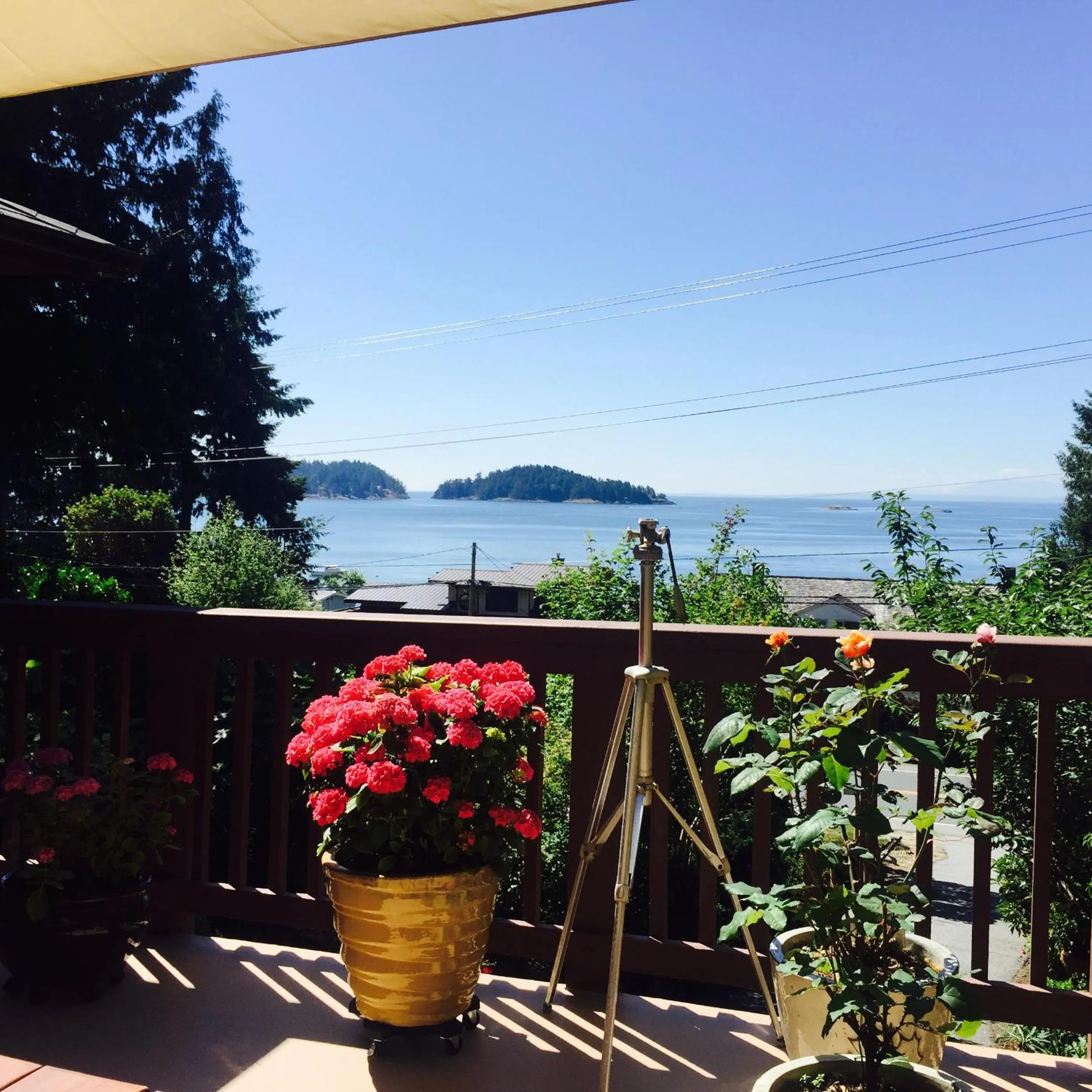 Patio in Garden Bridge House