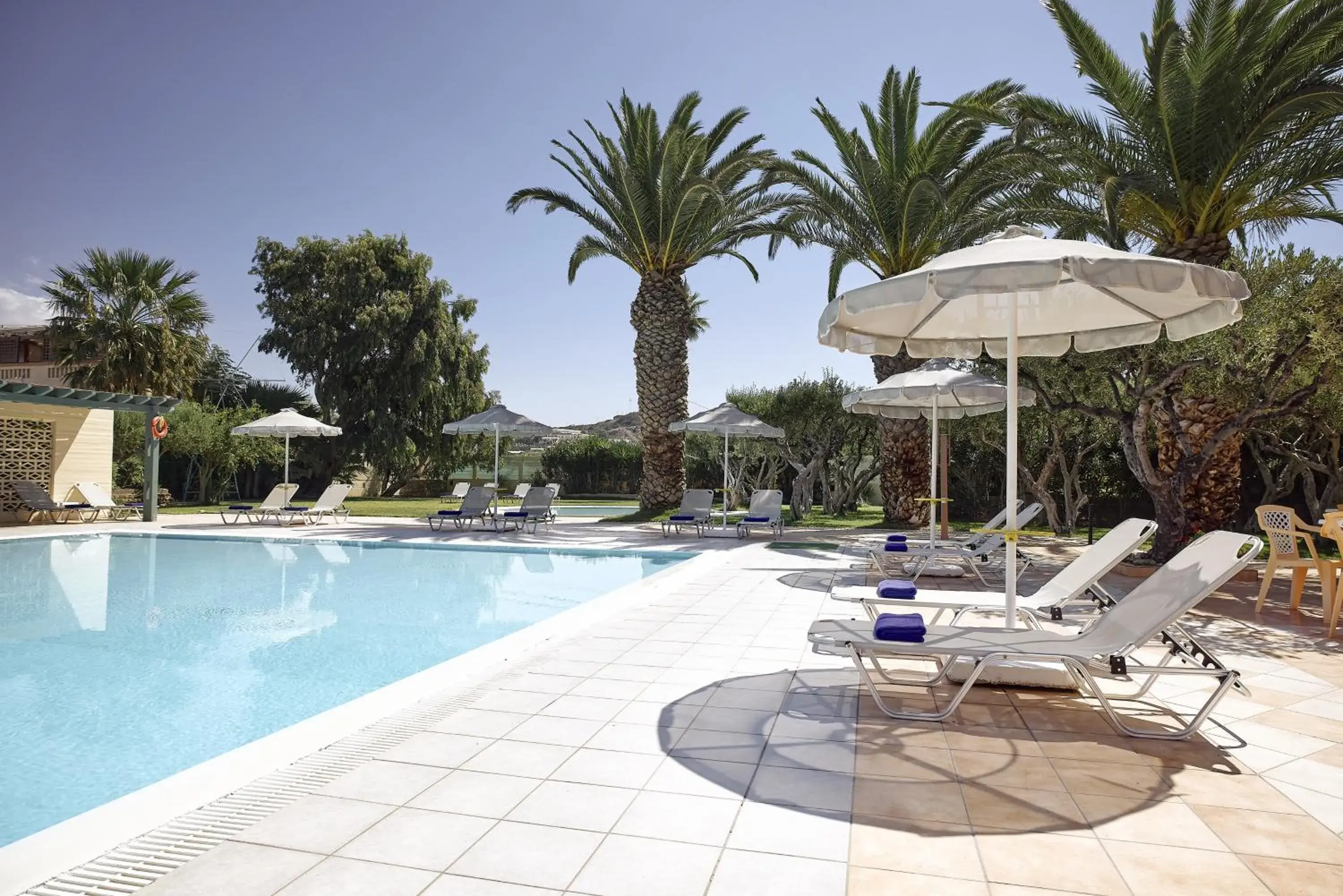 Swimming pool in Tylissos Beach Hotel - Adults Only Swimming pool in Tylissos Beach Hotel - Adults Only