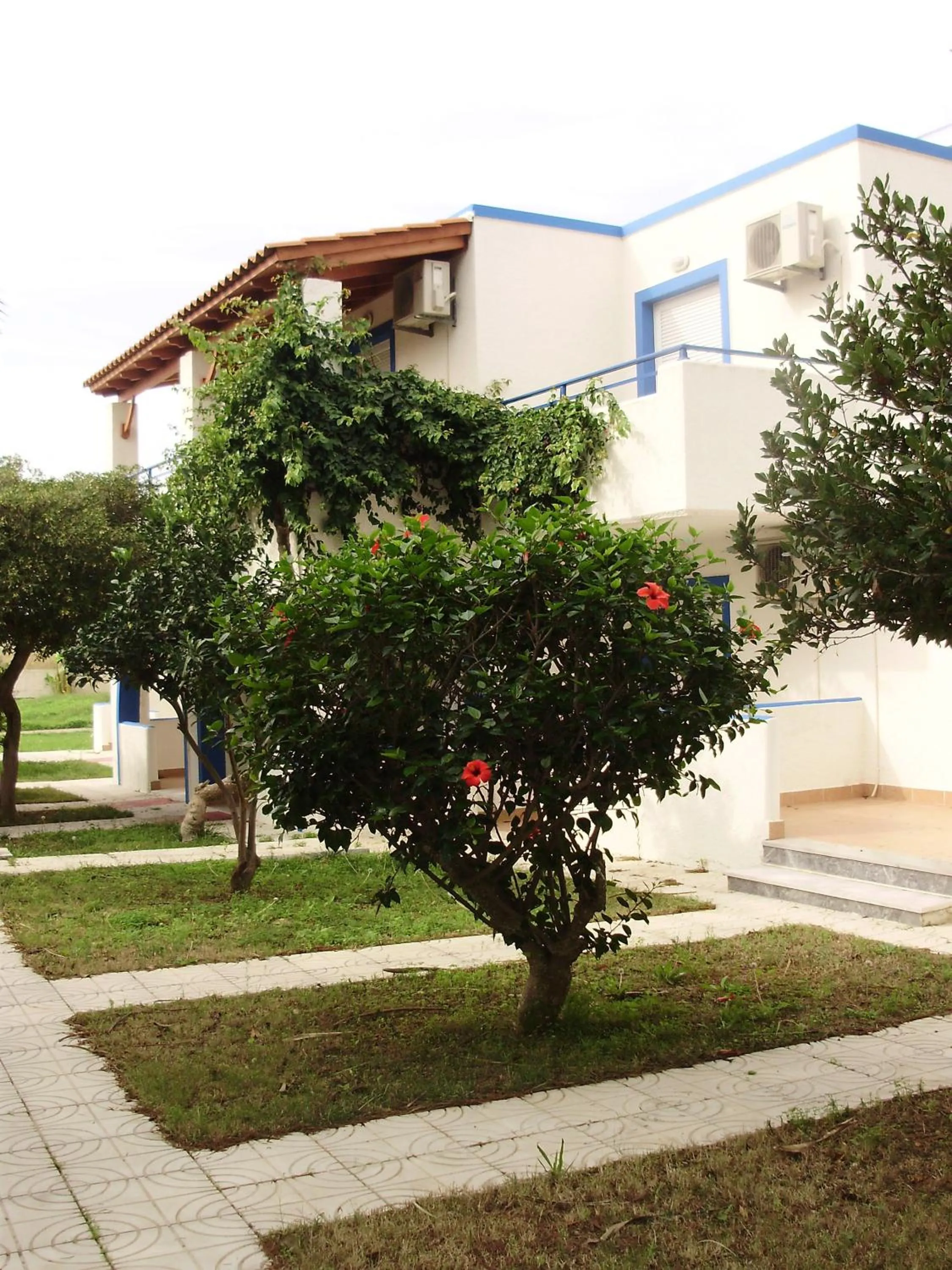 Garden in Hotel Tigaki's Star