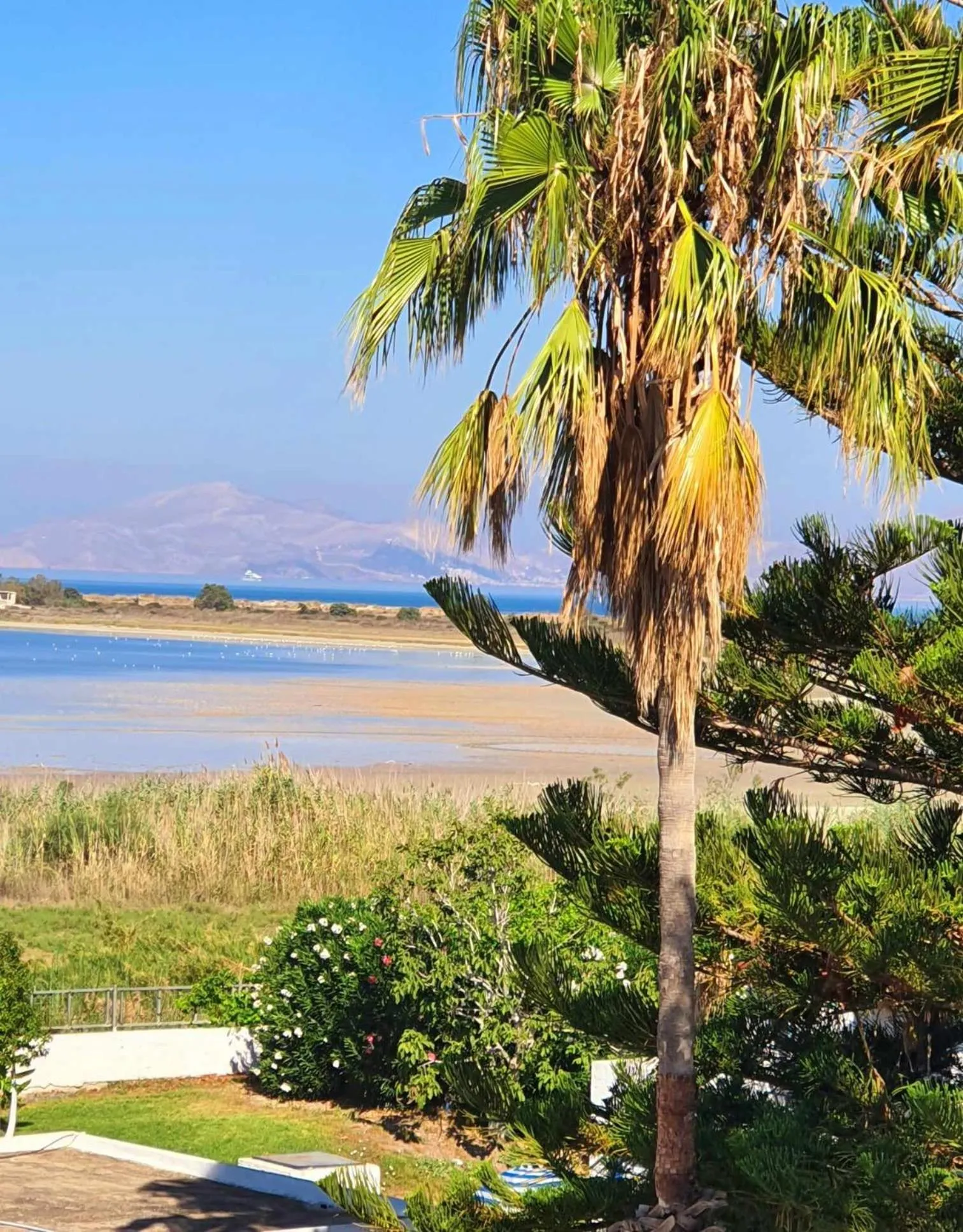 Day in Hotel Tigaki's Star