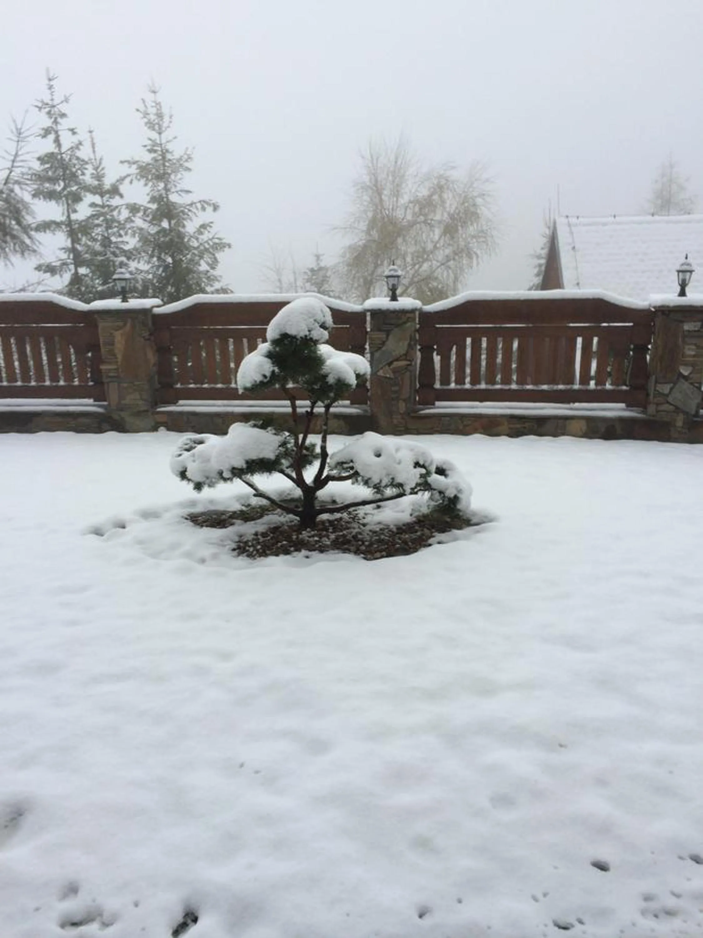 Property building in Irena