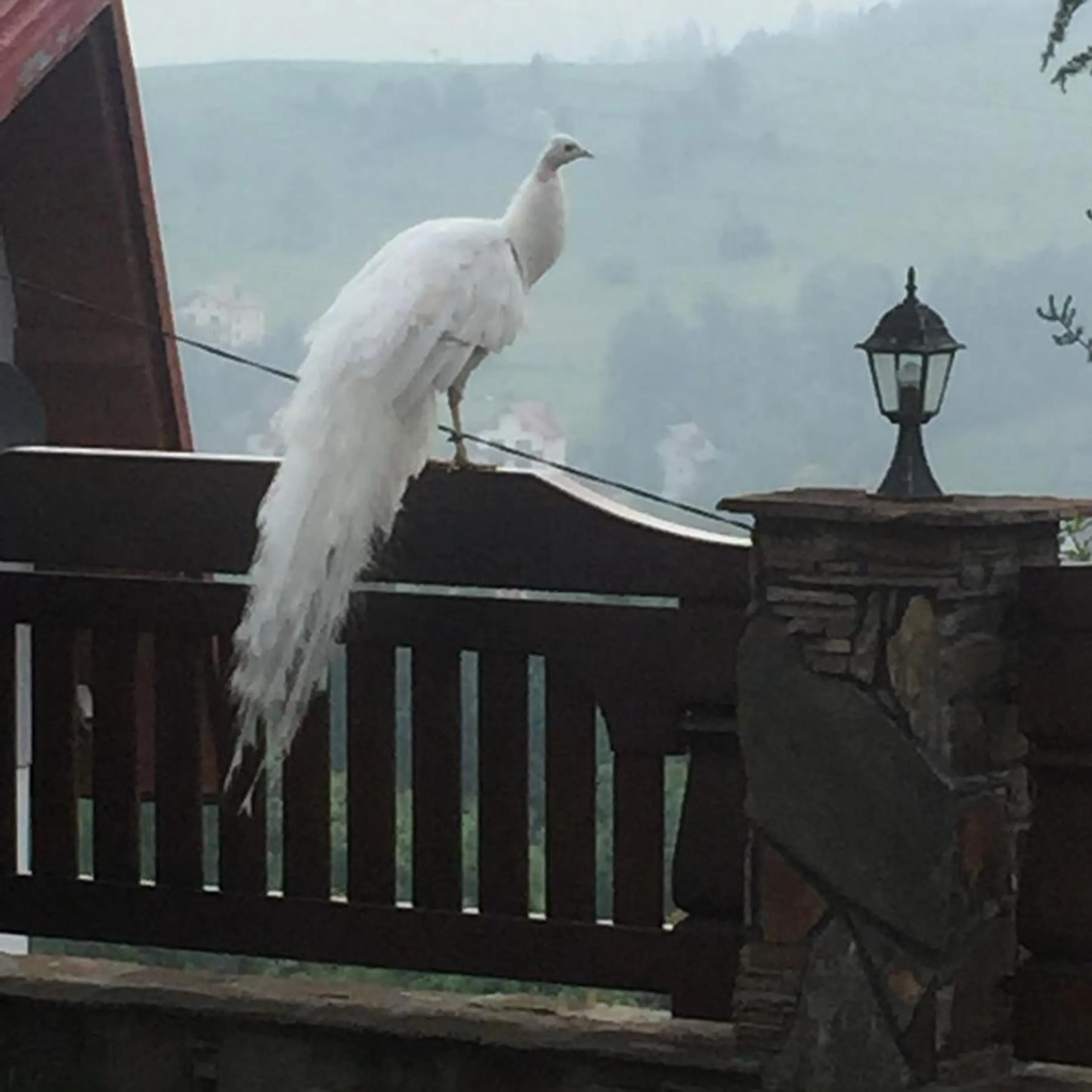 View (from property/room) in Irena