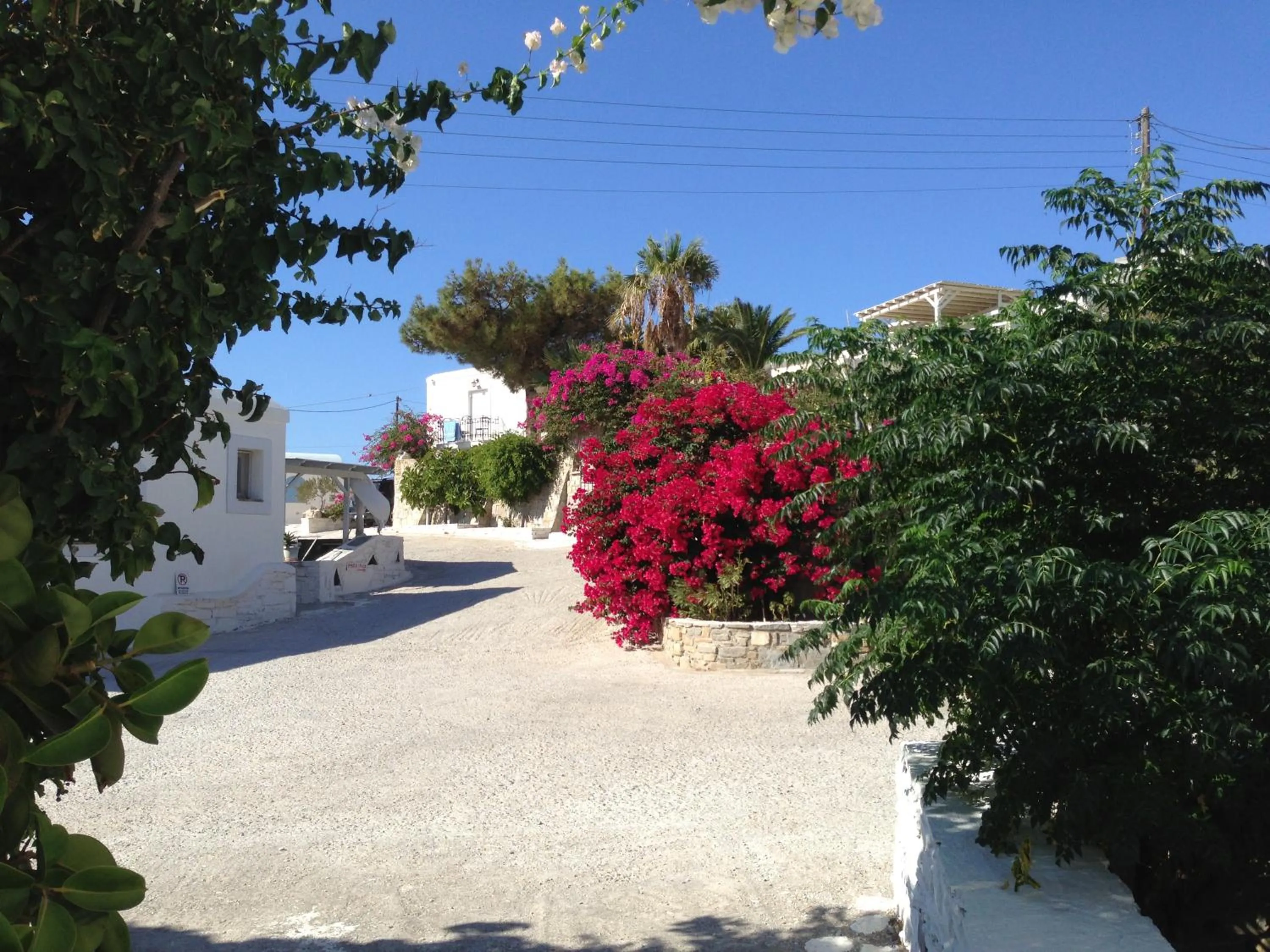 Area and facilities in KrotiriBay adults