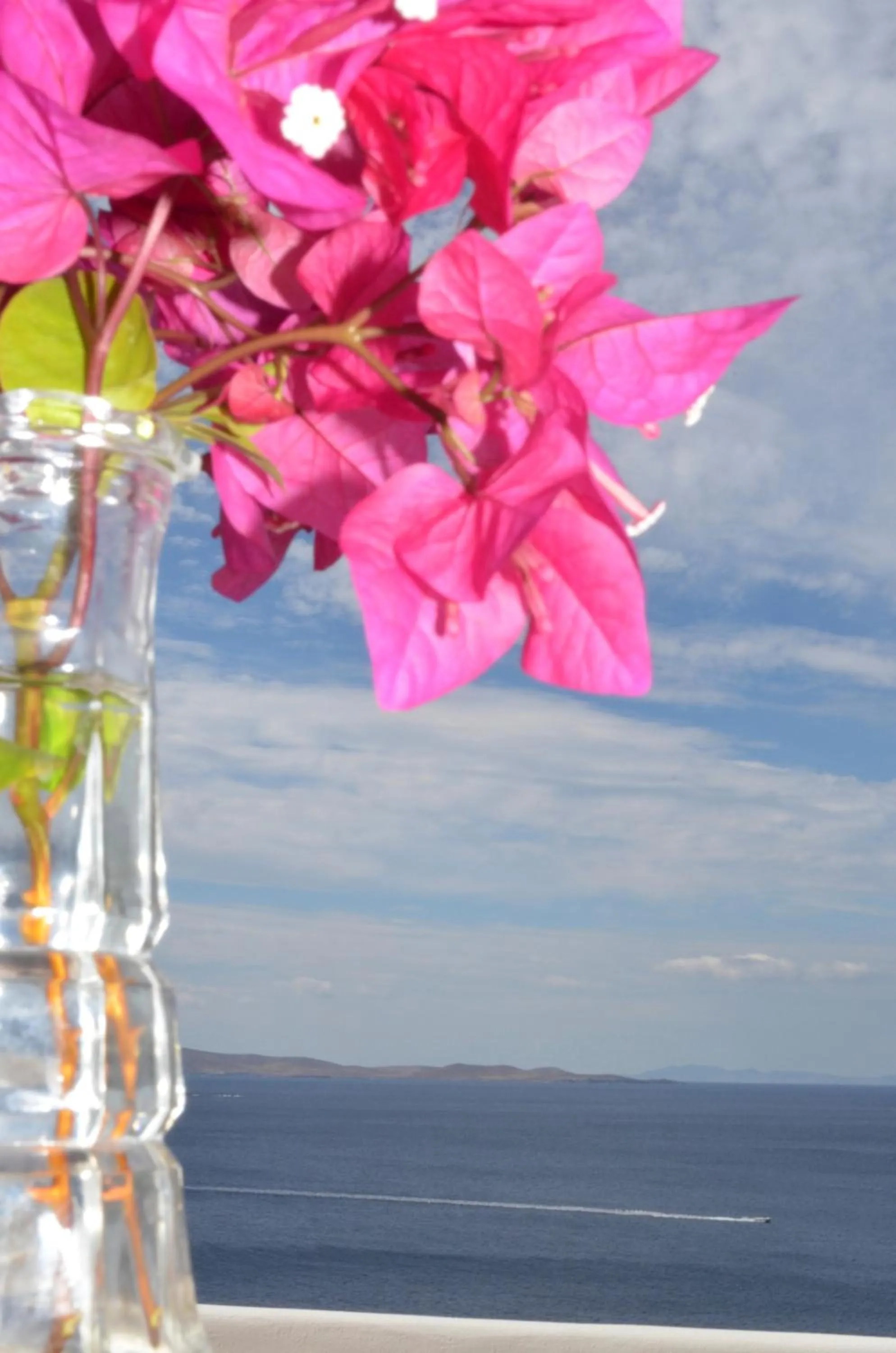 Decorative detail in Hotel Gorgona