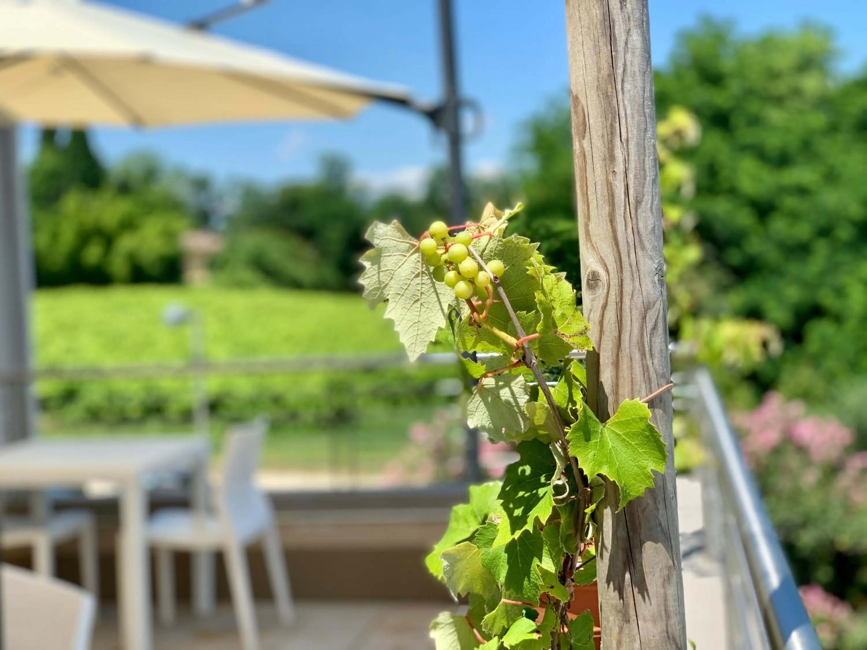 View (from property/room) in Relais Le Betulle