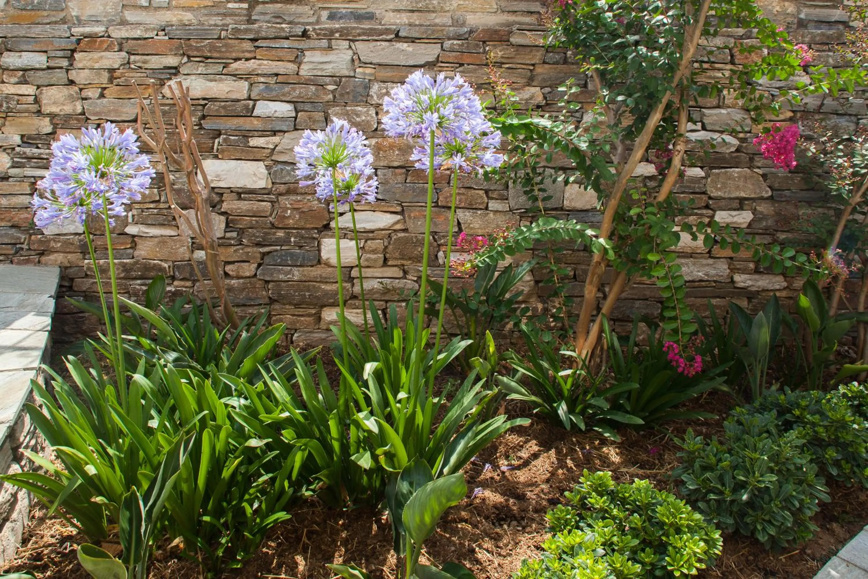 Garden in Erofili Hotel & Suites