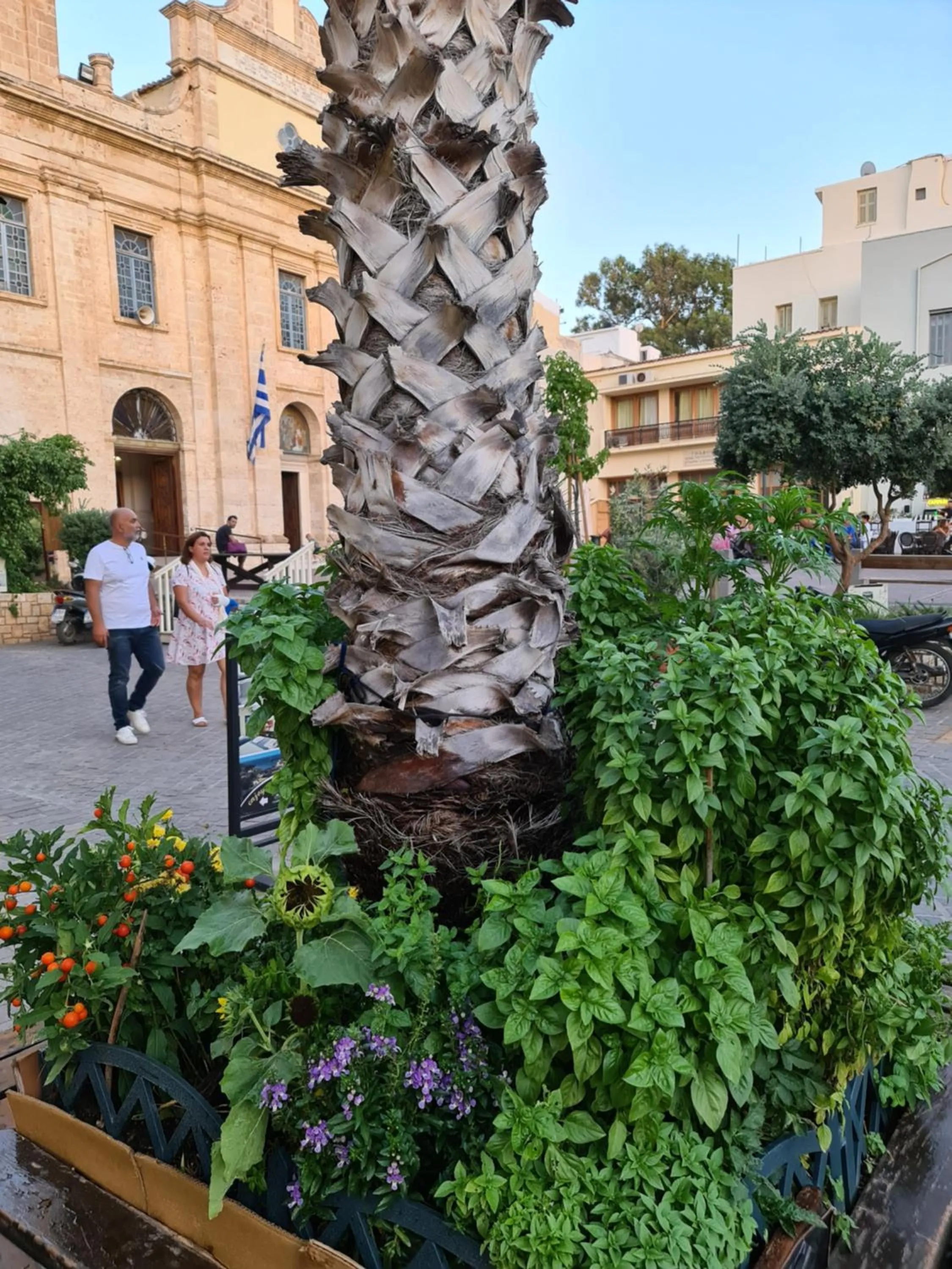 Day in Nikolas Rooms