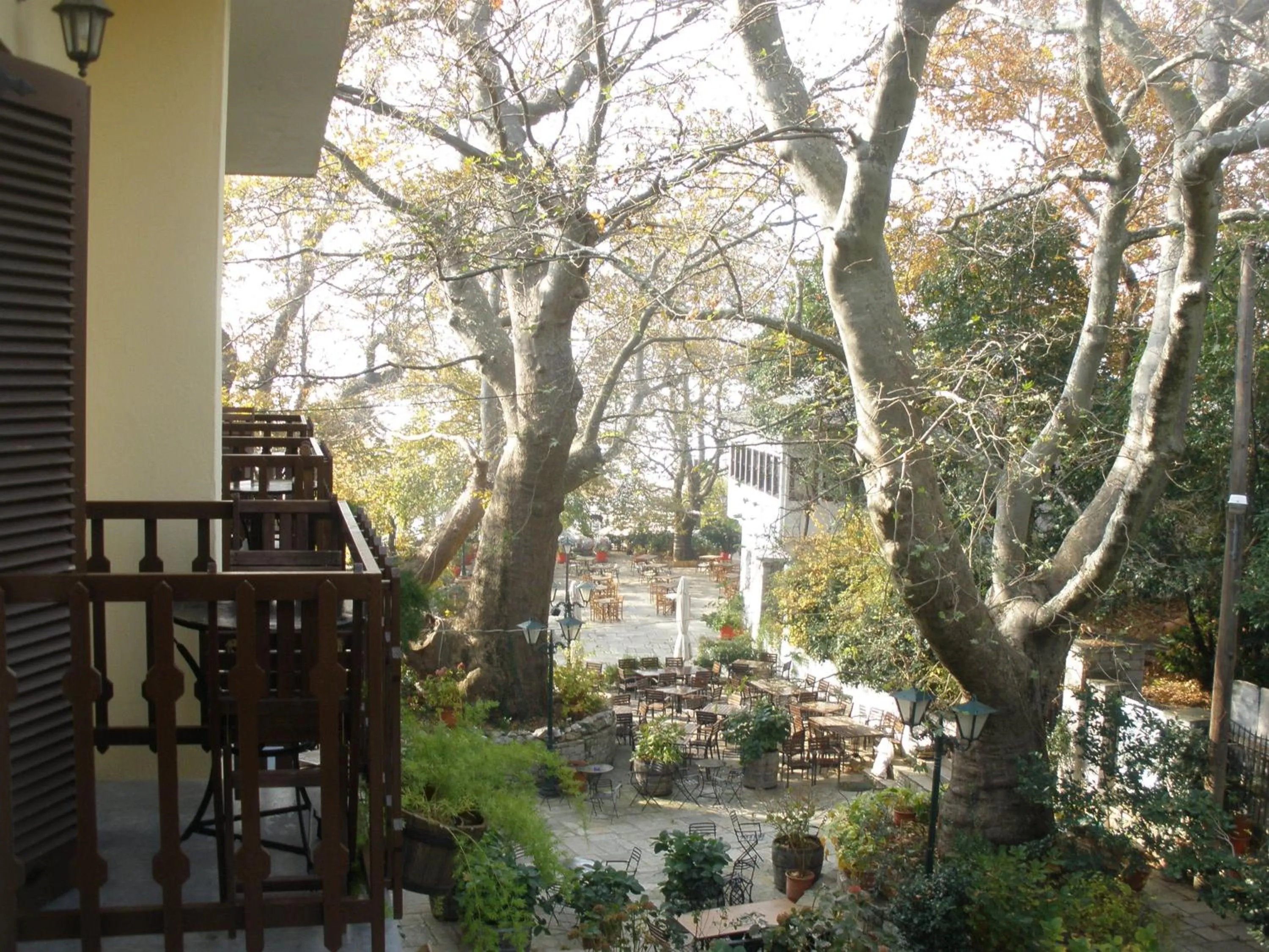 Area and facilities in Pelias Hotel