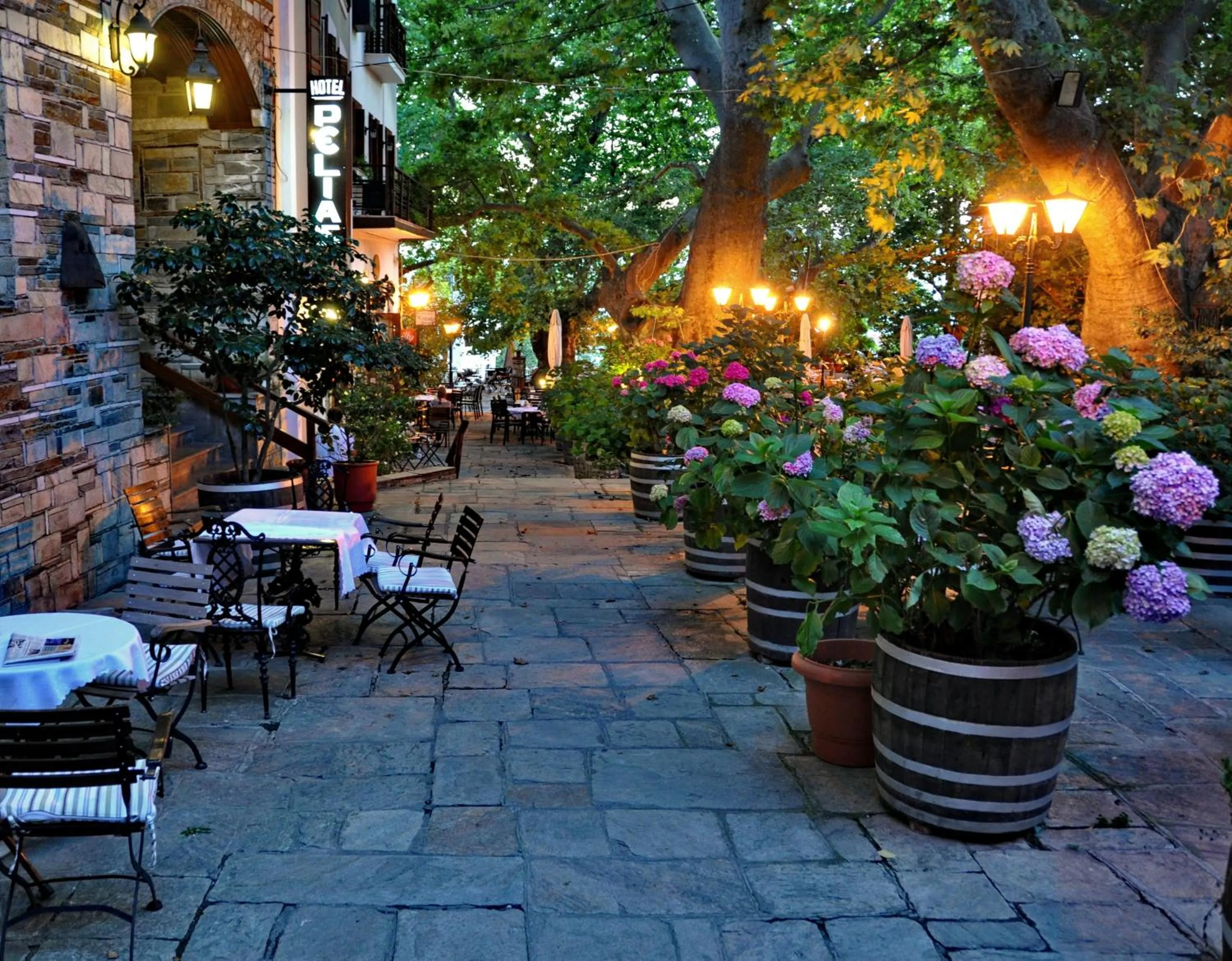 Restaurant/places to eat in Pelias Hotel