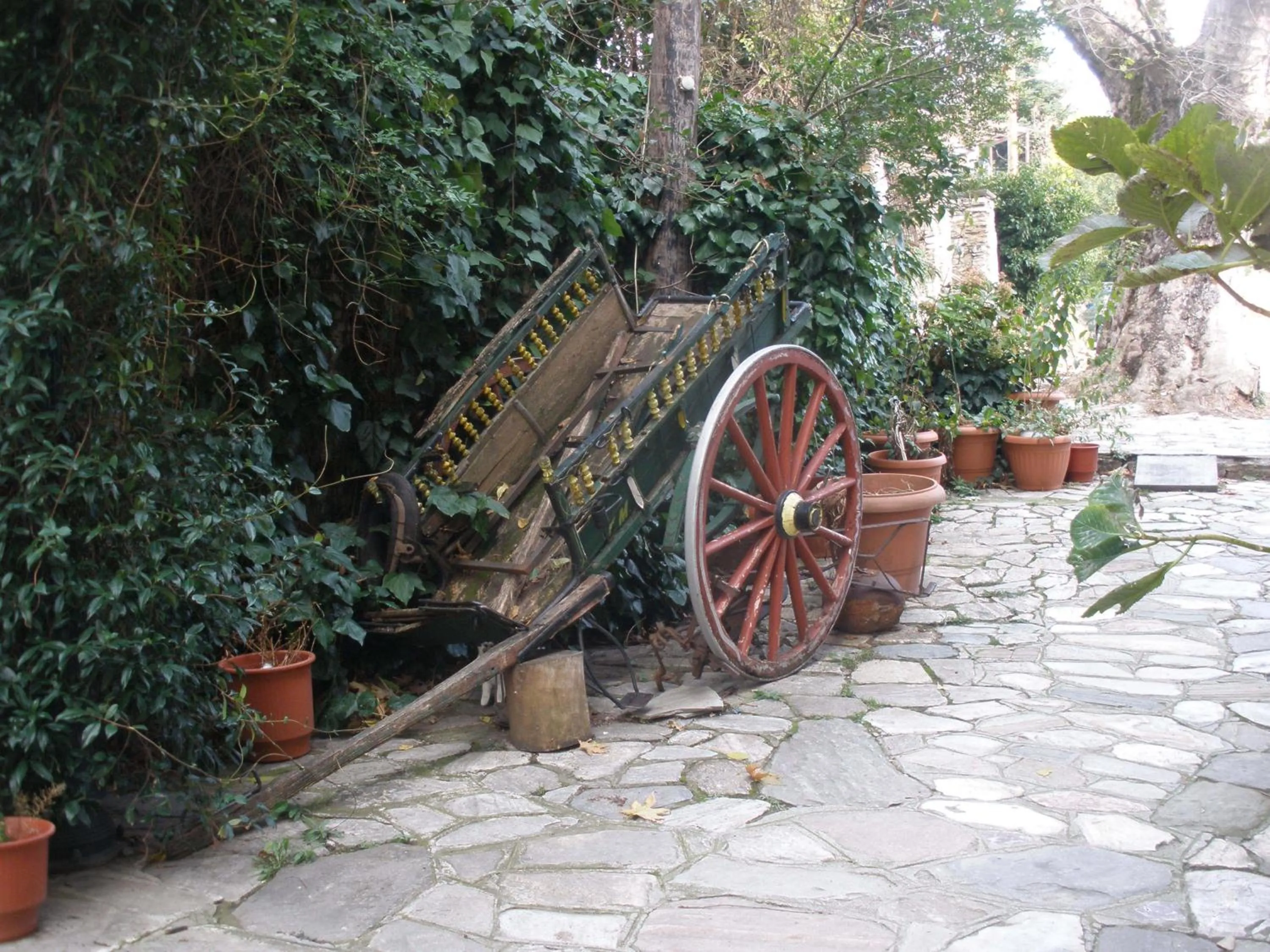 Area and facilities in Pelias Hotel