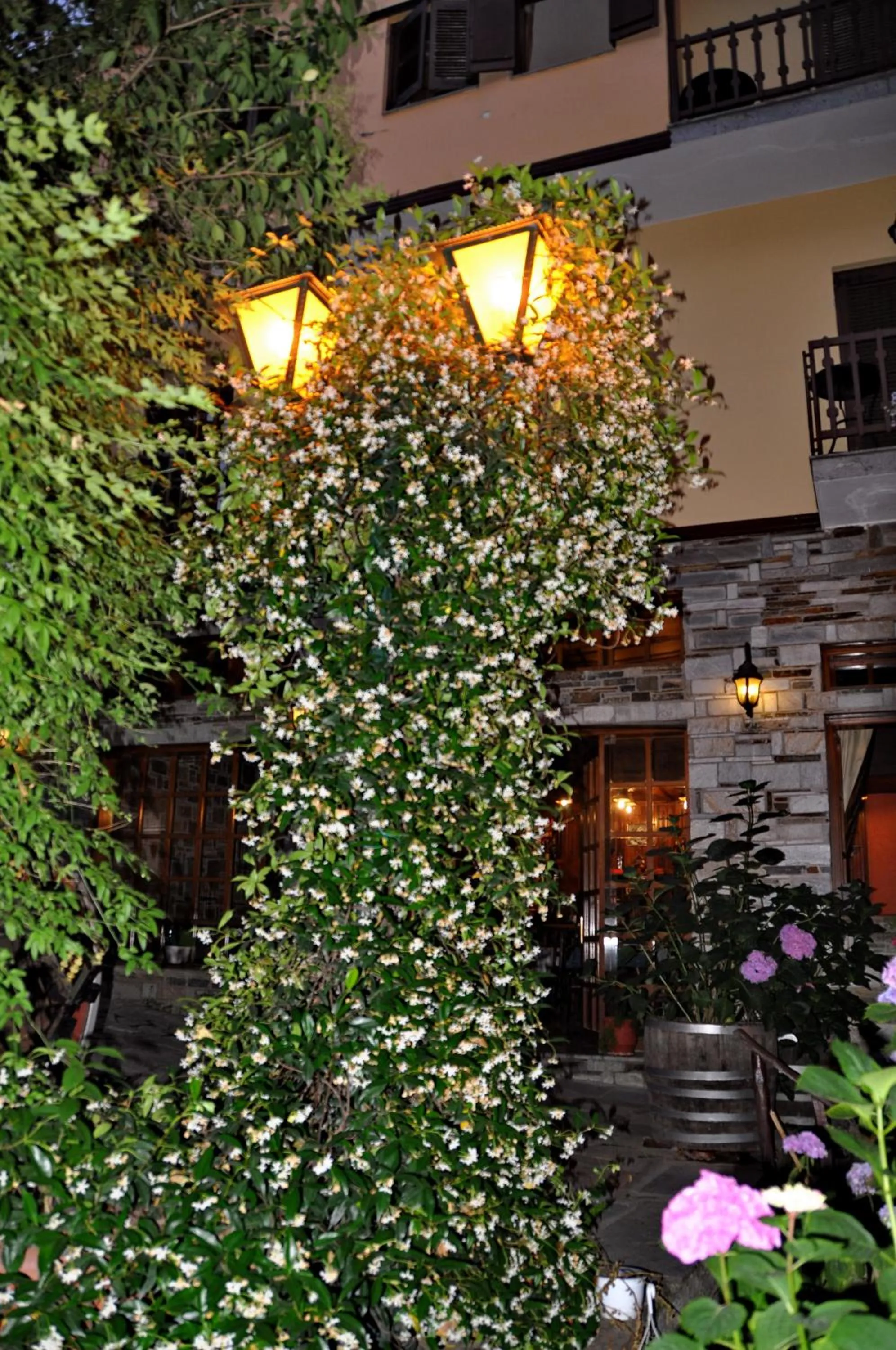 Facade/entrance in Pelias Hotel