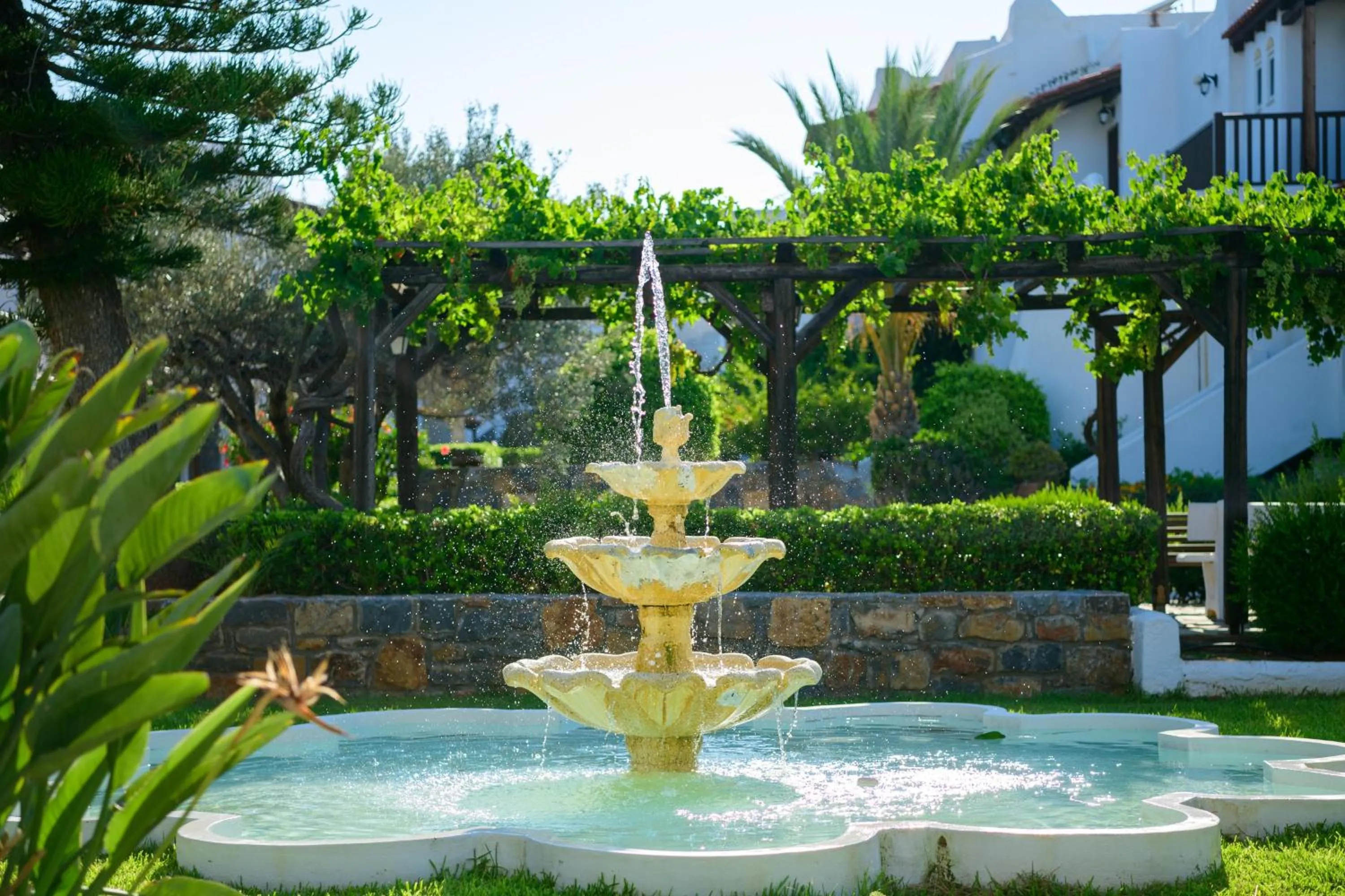 Garden in Alexander Beach Hotel & Village Resort