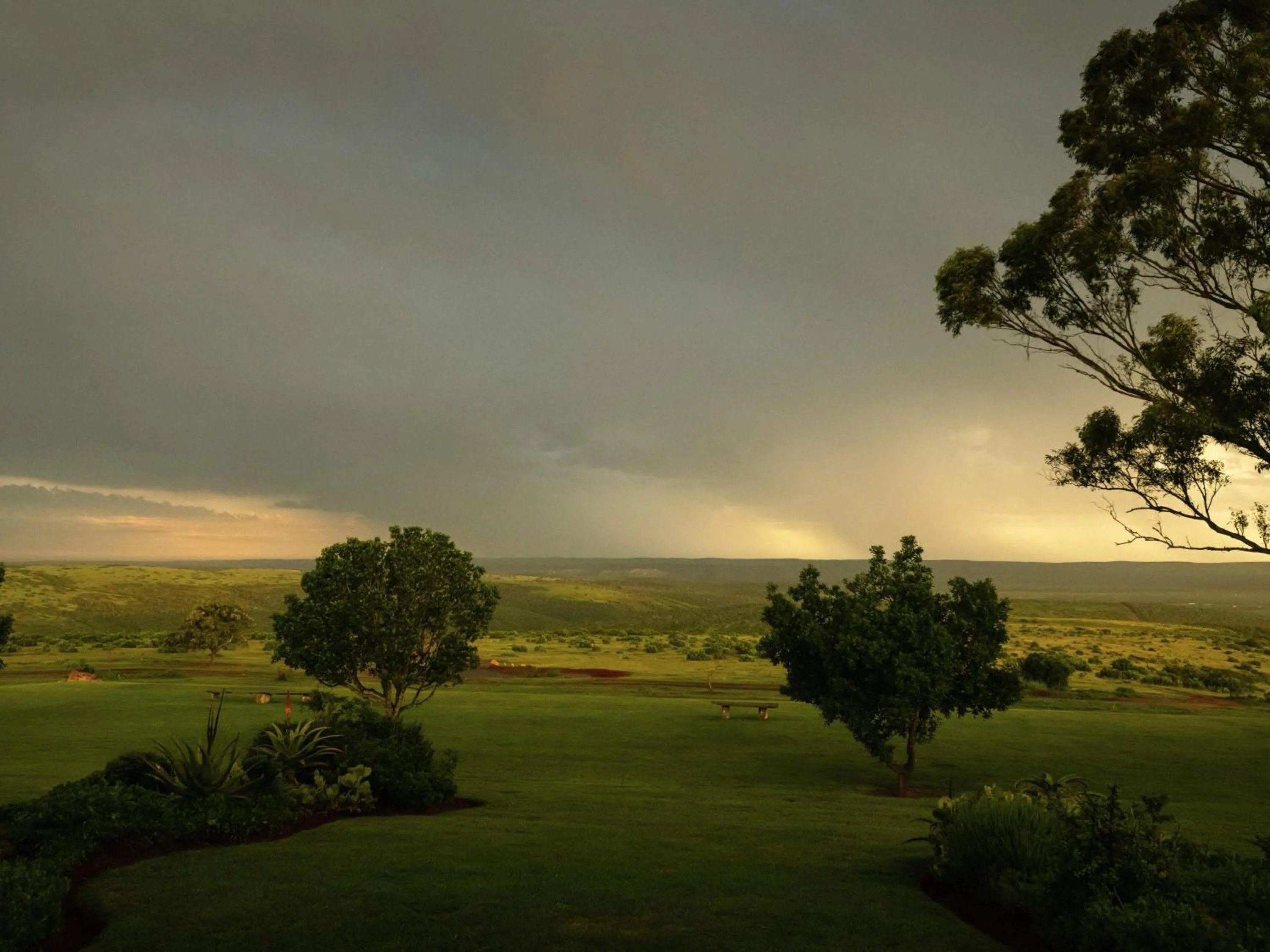 Other in Founders Lodge by Mantis