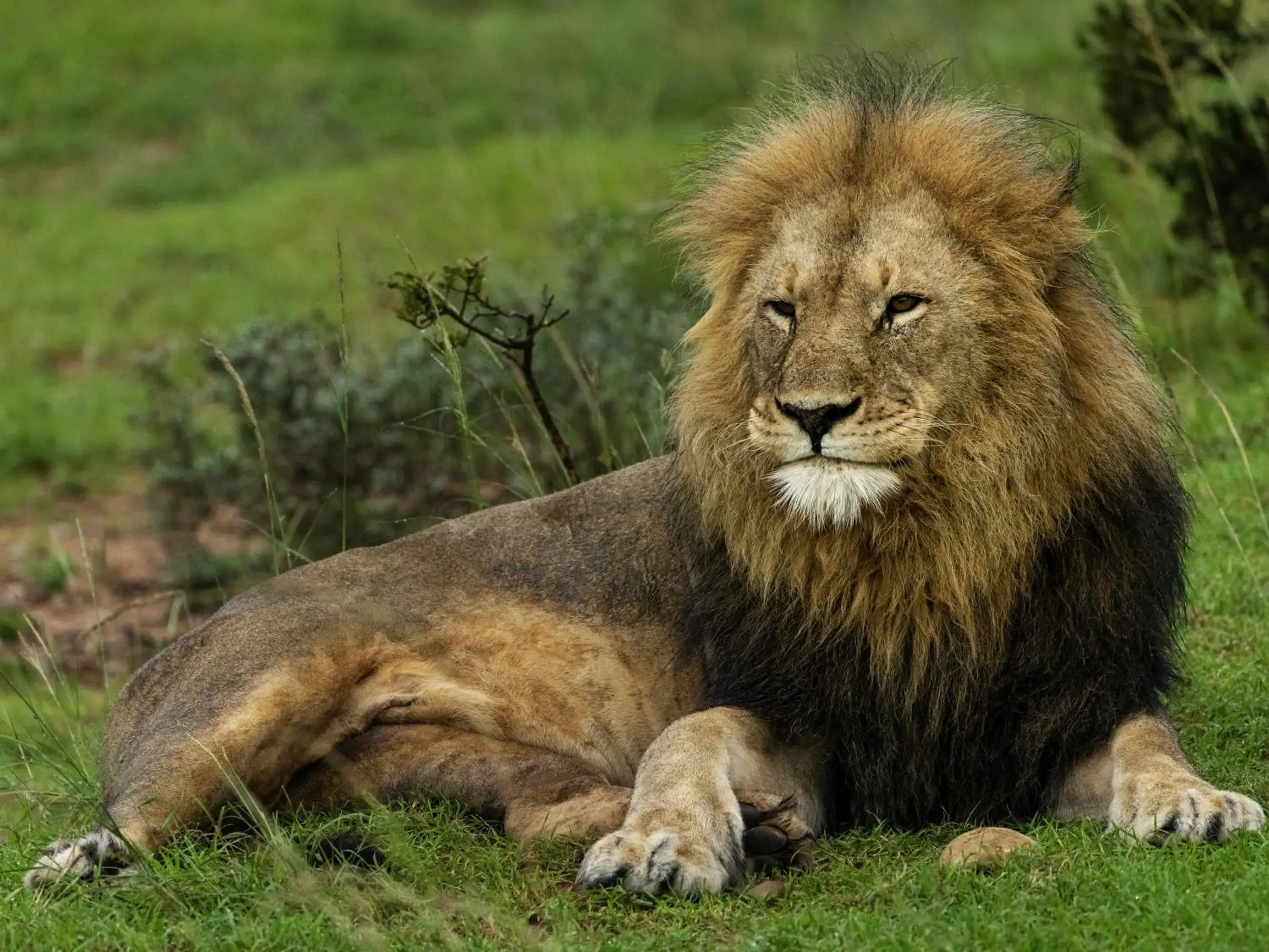 Property building in Founders Lodge by Mantis Property building in Founders Lodge by Mantis