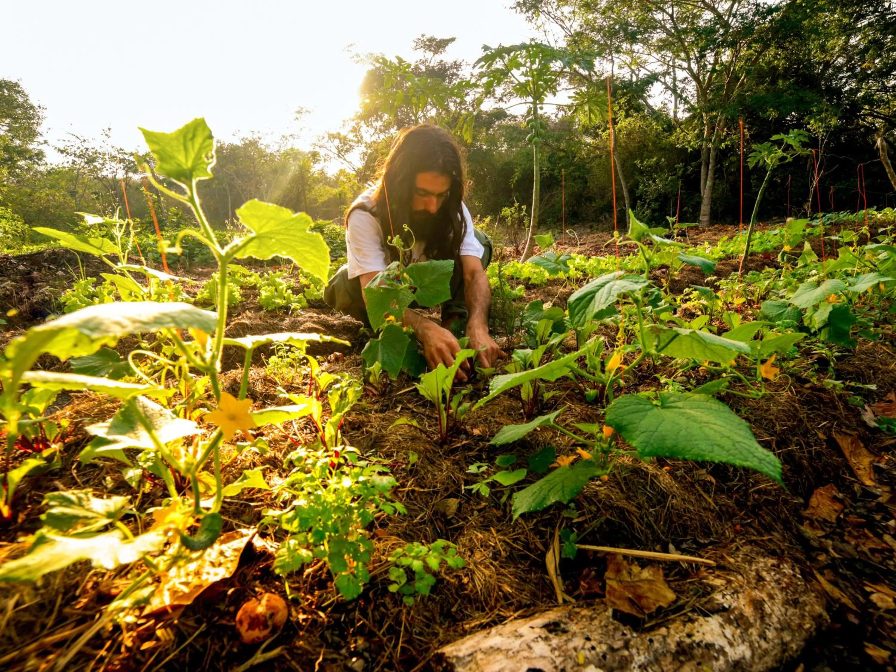 Garden view in Buzios Espiritualidade Hotel
