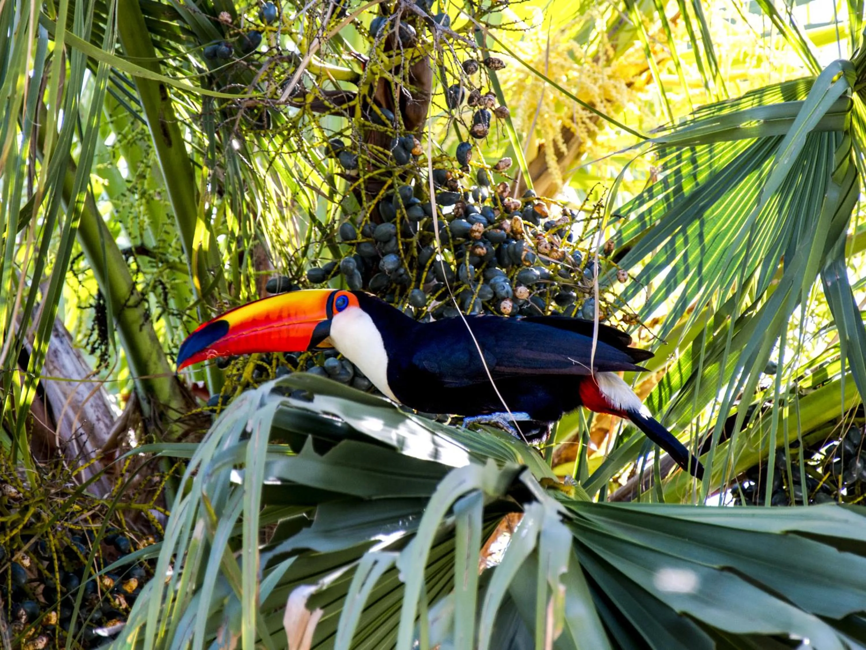 Hiking in Buzios Espiritualidade Hotel