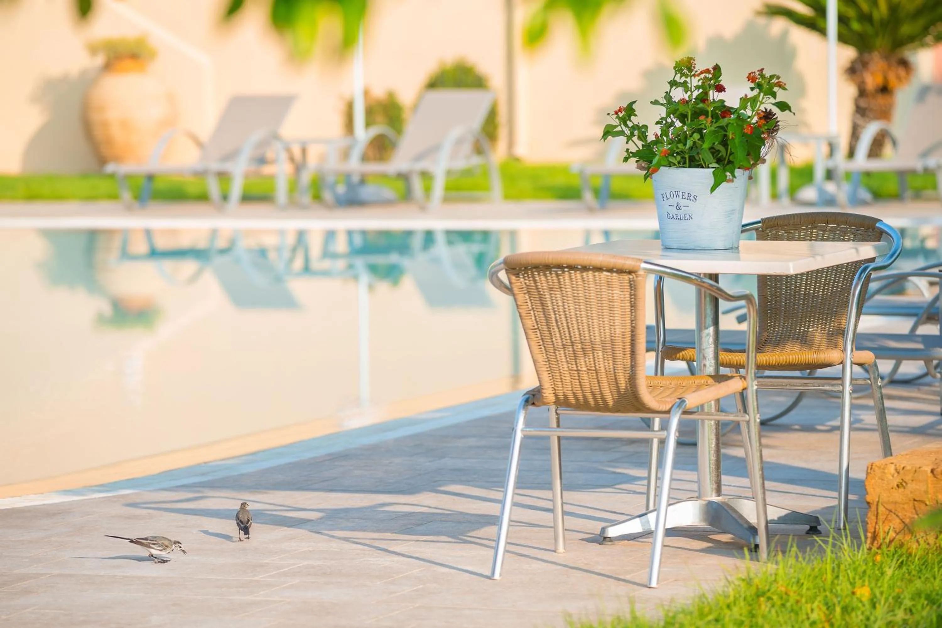 Patio in Celestial Lindos Suites