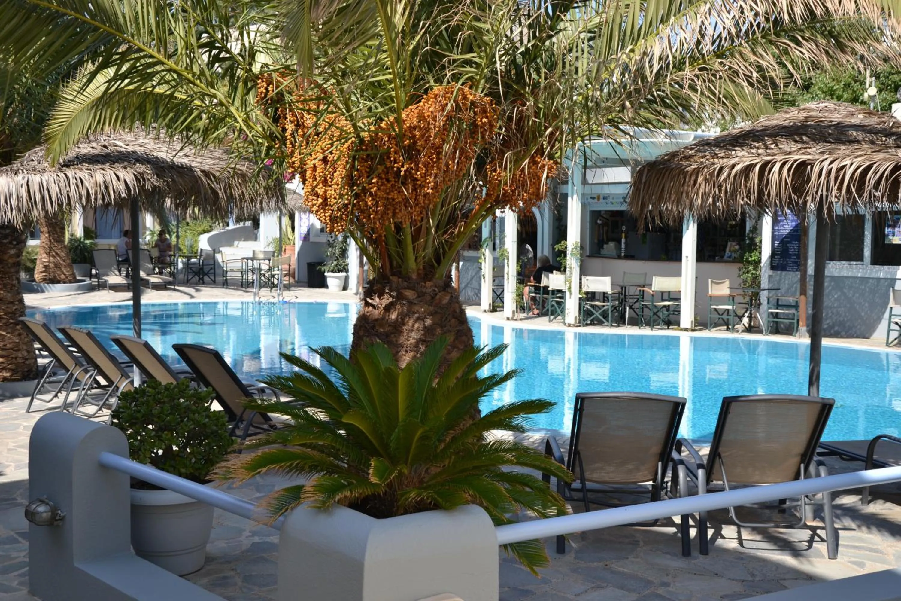 Swimming pool in Zephyros Hotel