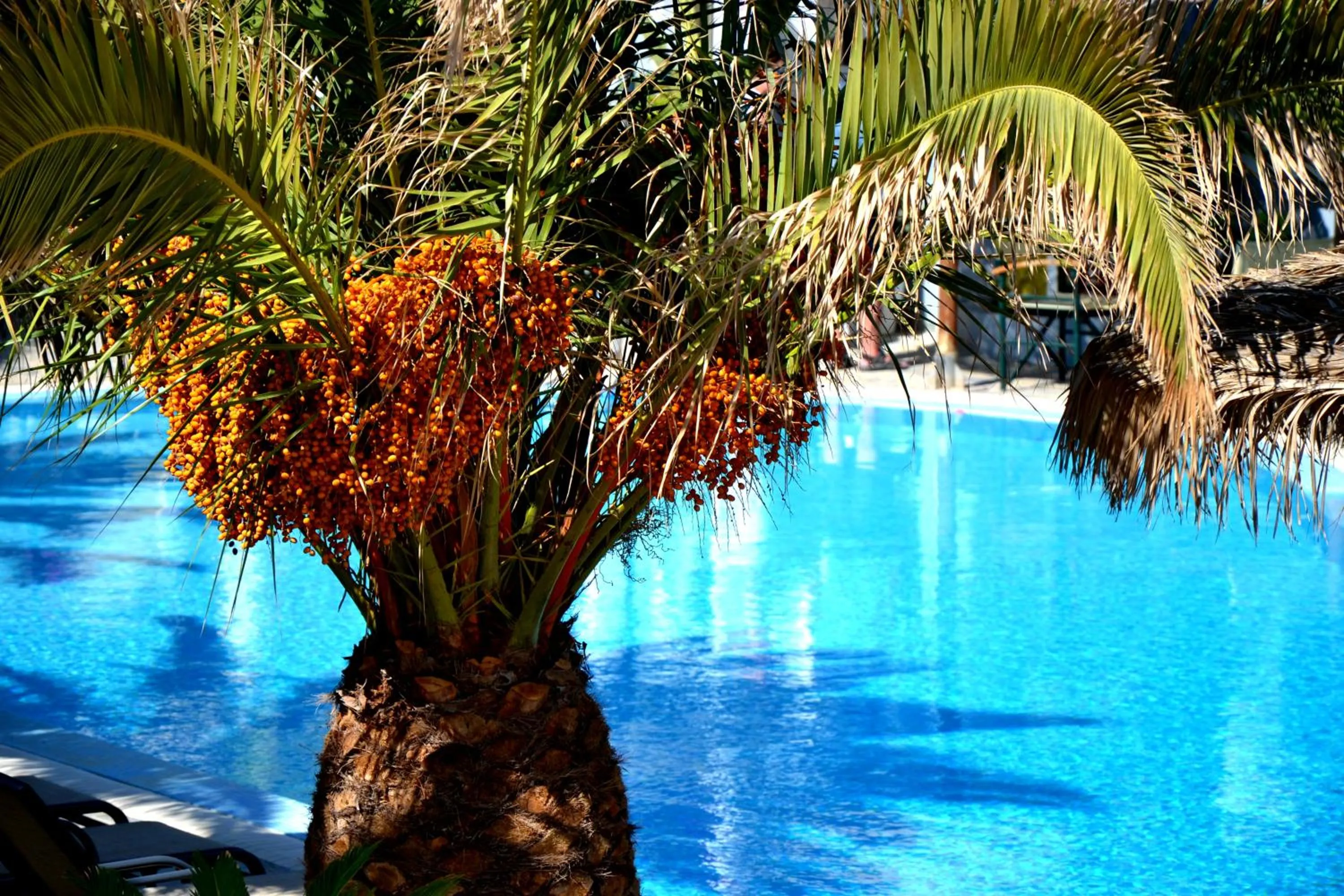 Balcony/Terrace in Zephyros Hotel