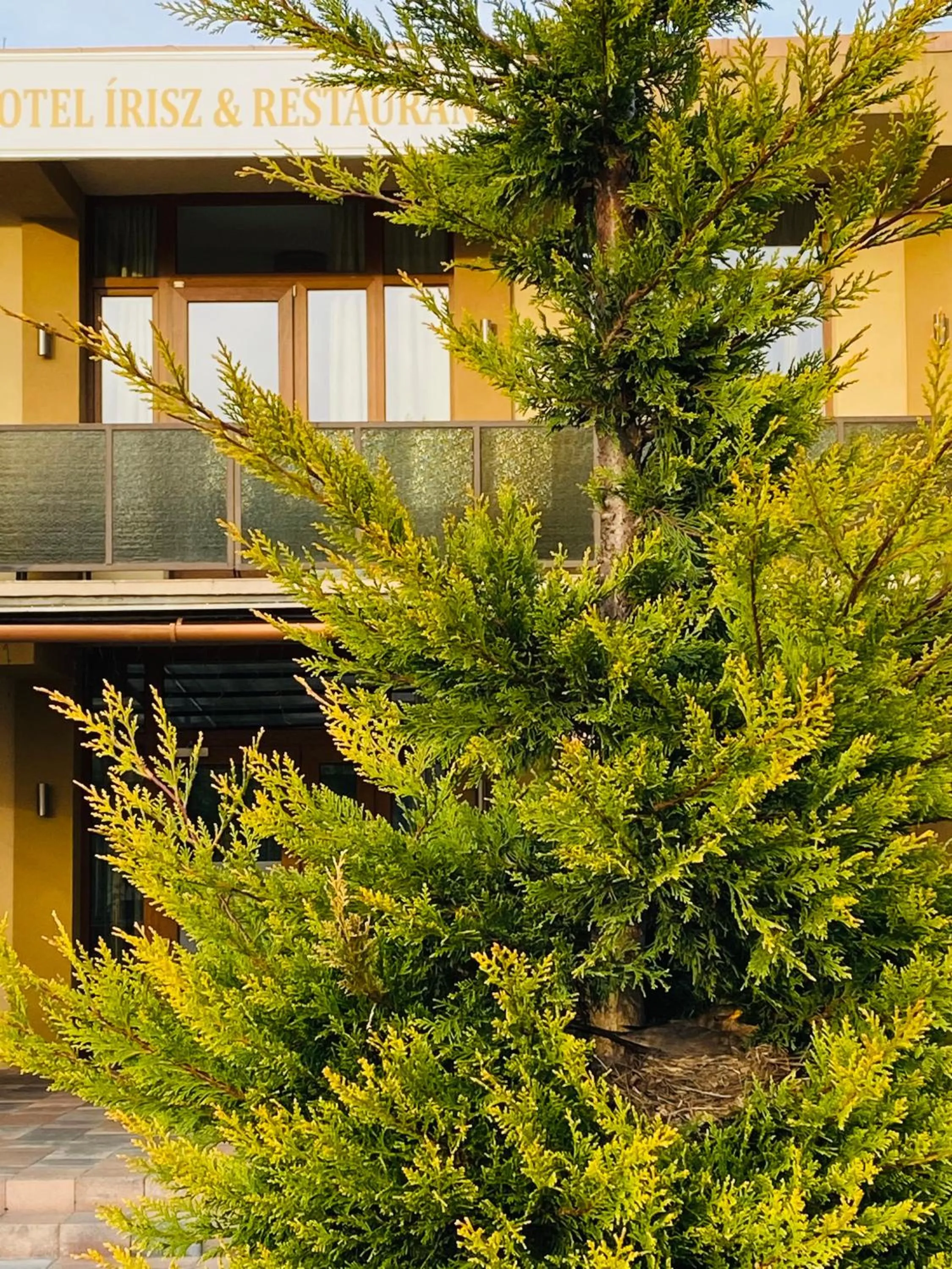 Garden in Hotel Írisz