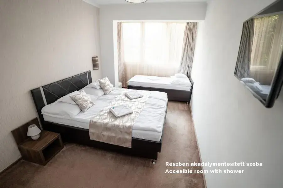 Double Room - single occupancy - Disability Access in Hotel Írisz Double Room - single occupancy - Disability Access in Hotel Írisz