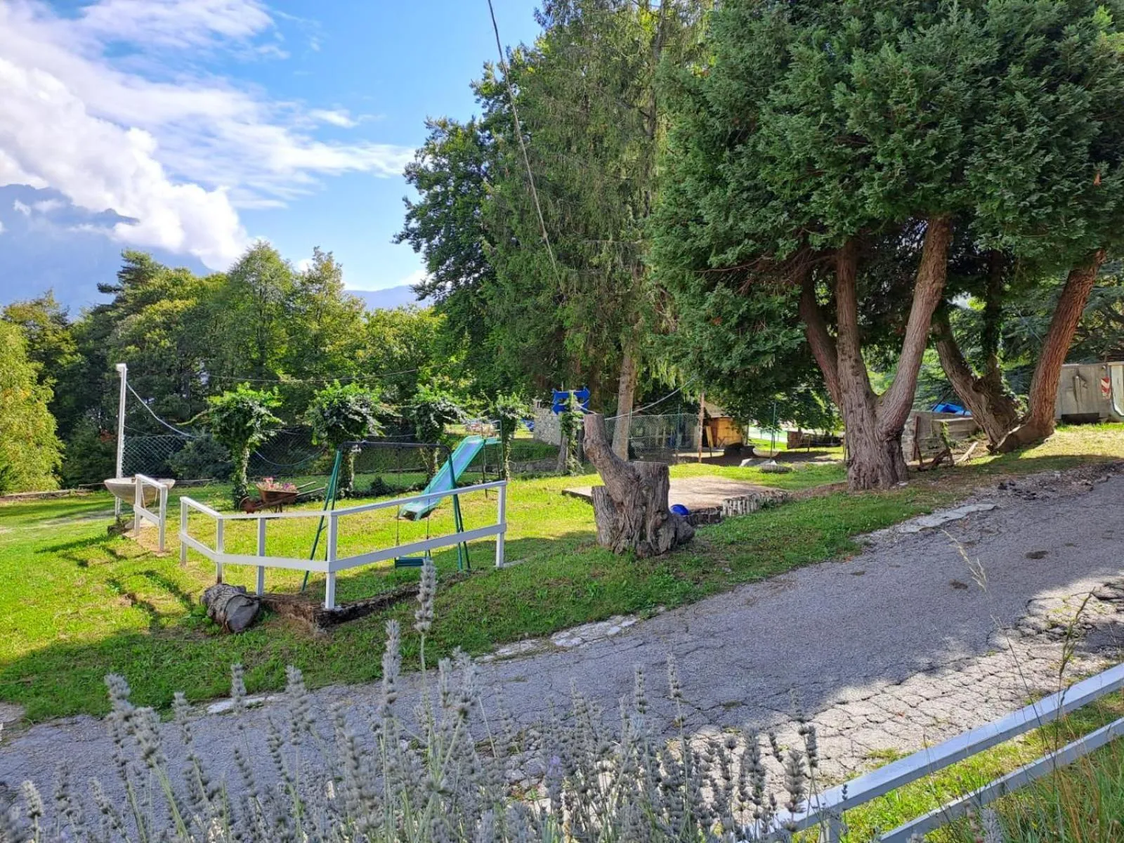 Garden in Hotel Mirabeau