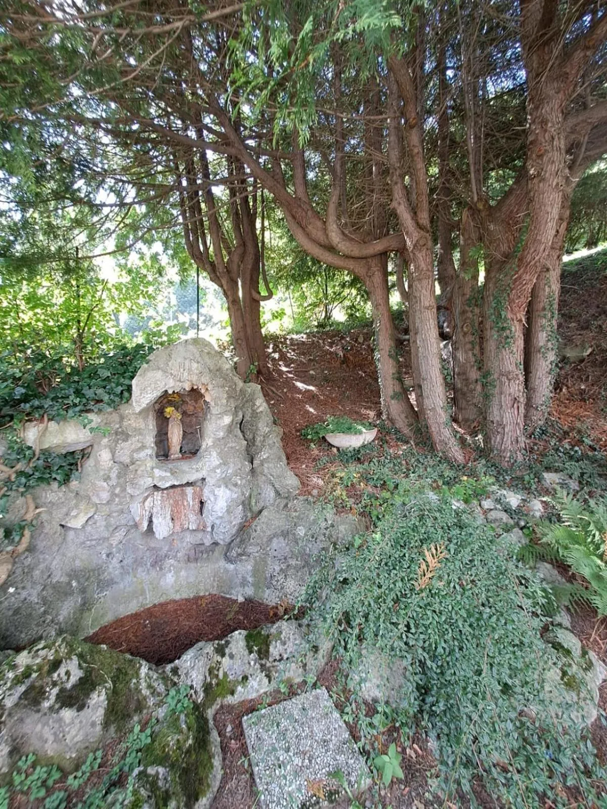 Garden in Hotel Mirabeau