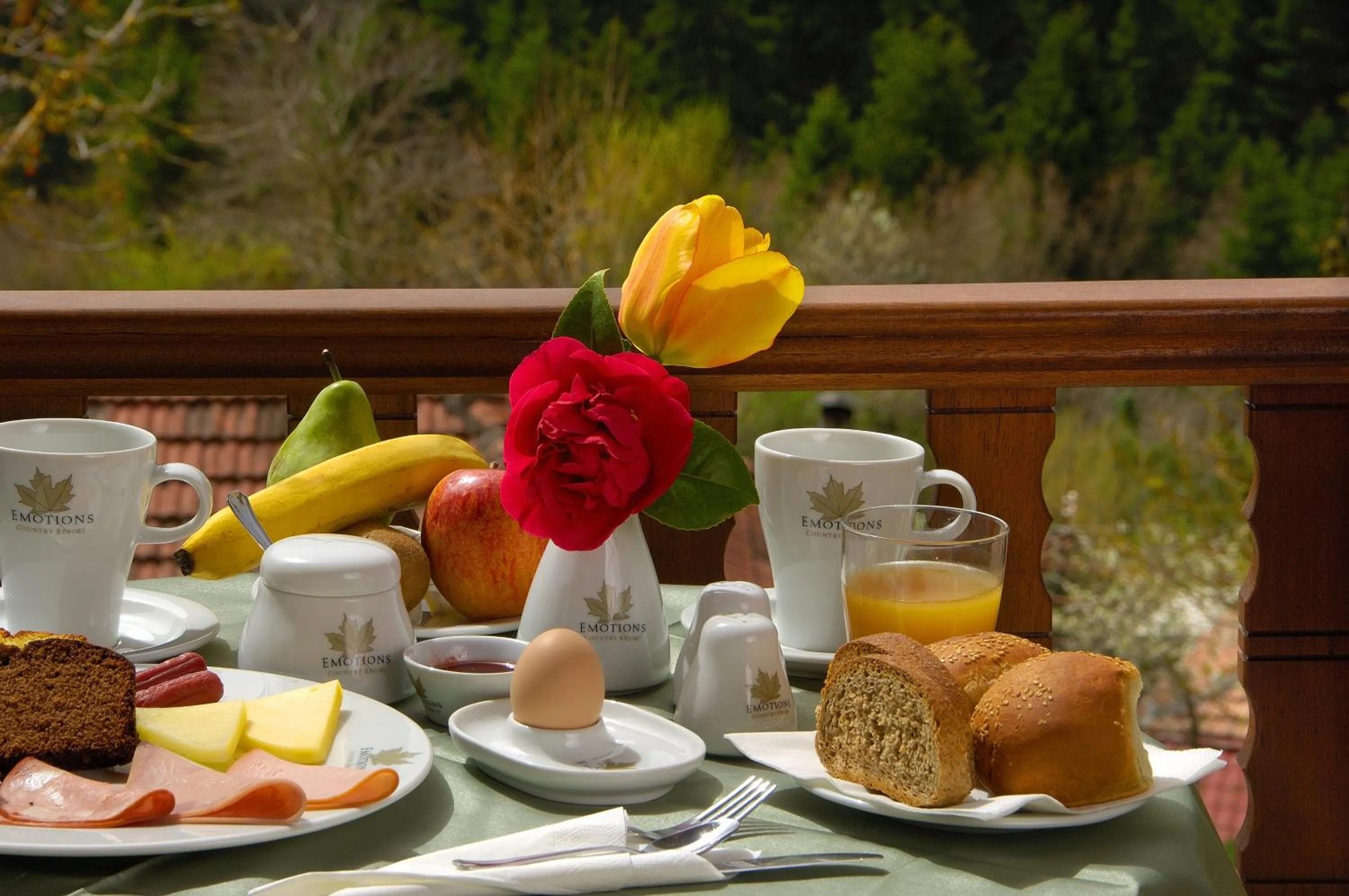 Breakfast in Emotions Country Resort
