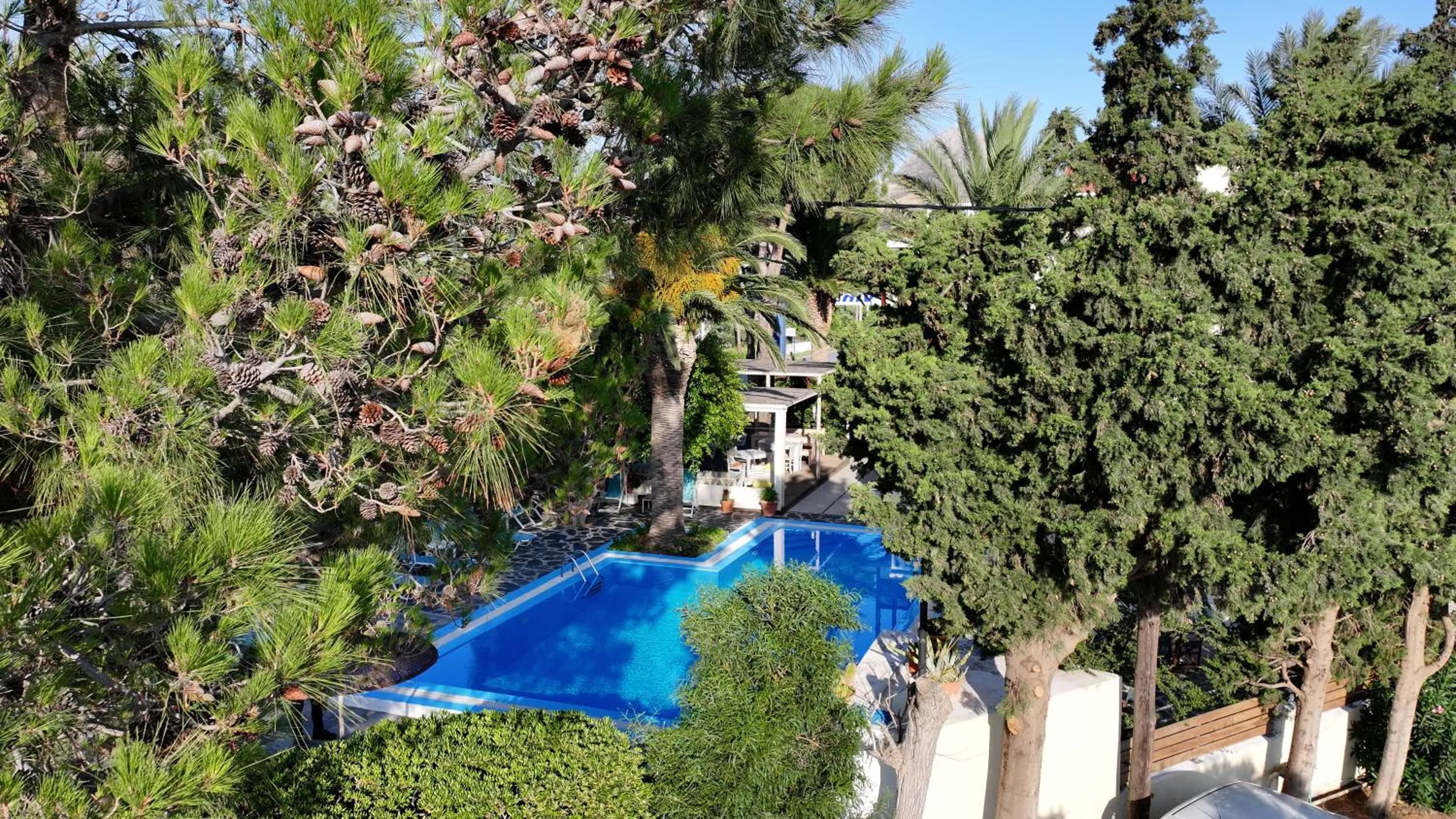 Oasis Apartments & Rooms