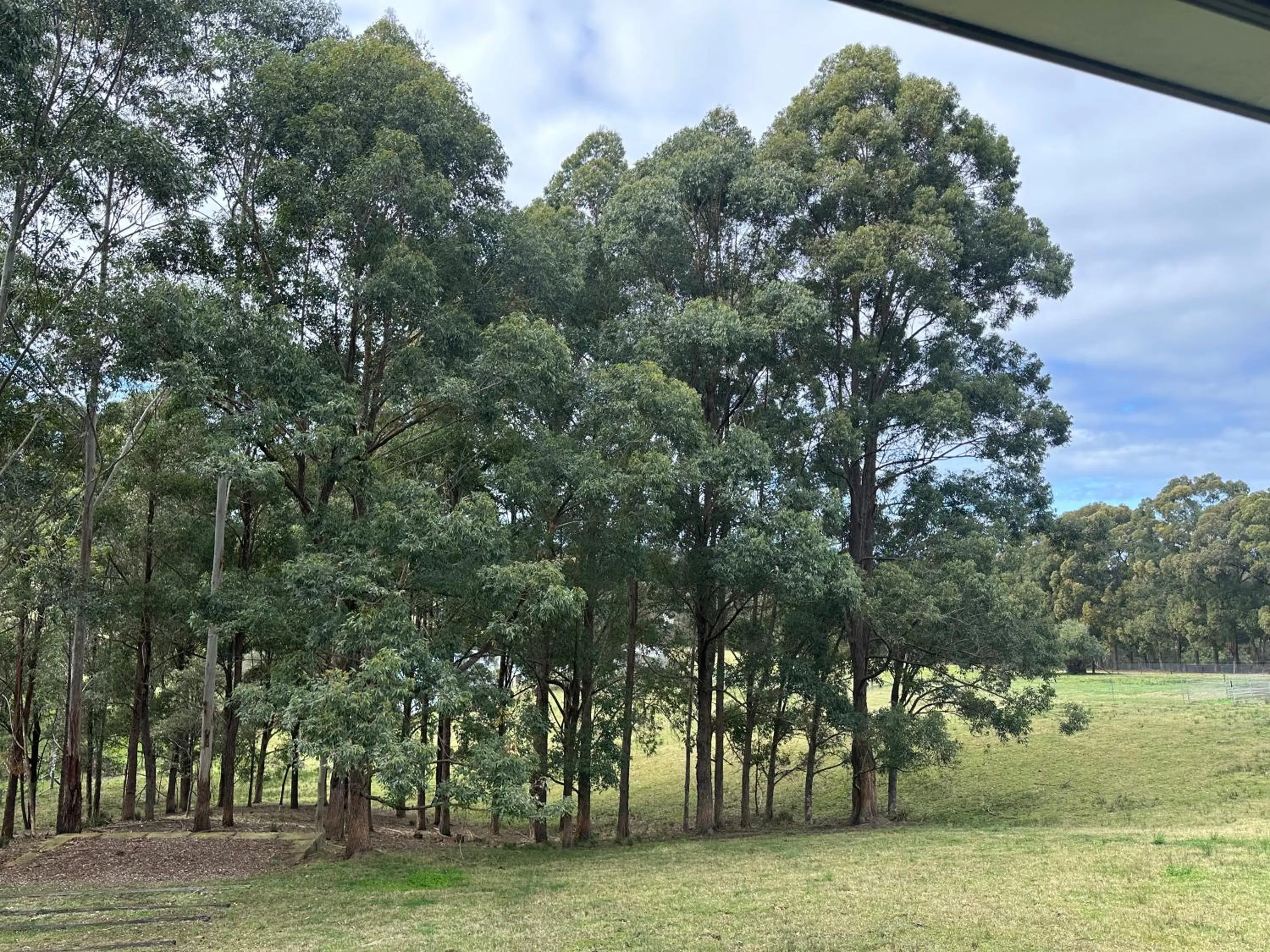 Natural landscape in Blueberry Hills On Comleroy Farmstay - Self-Contained Cottages