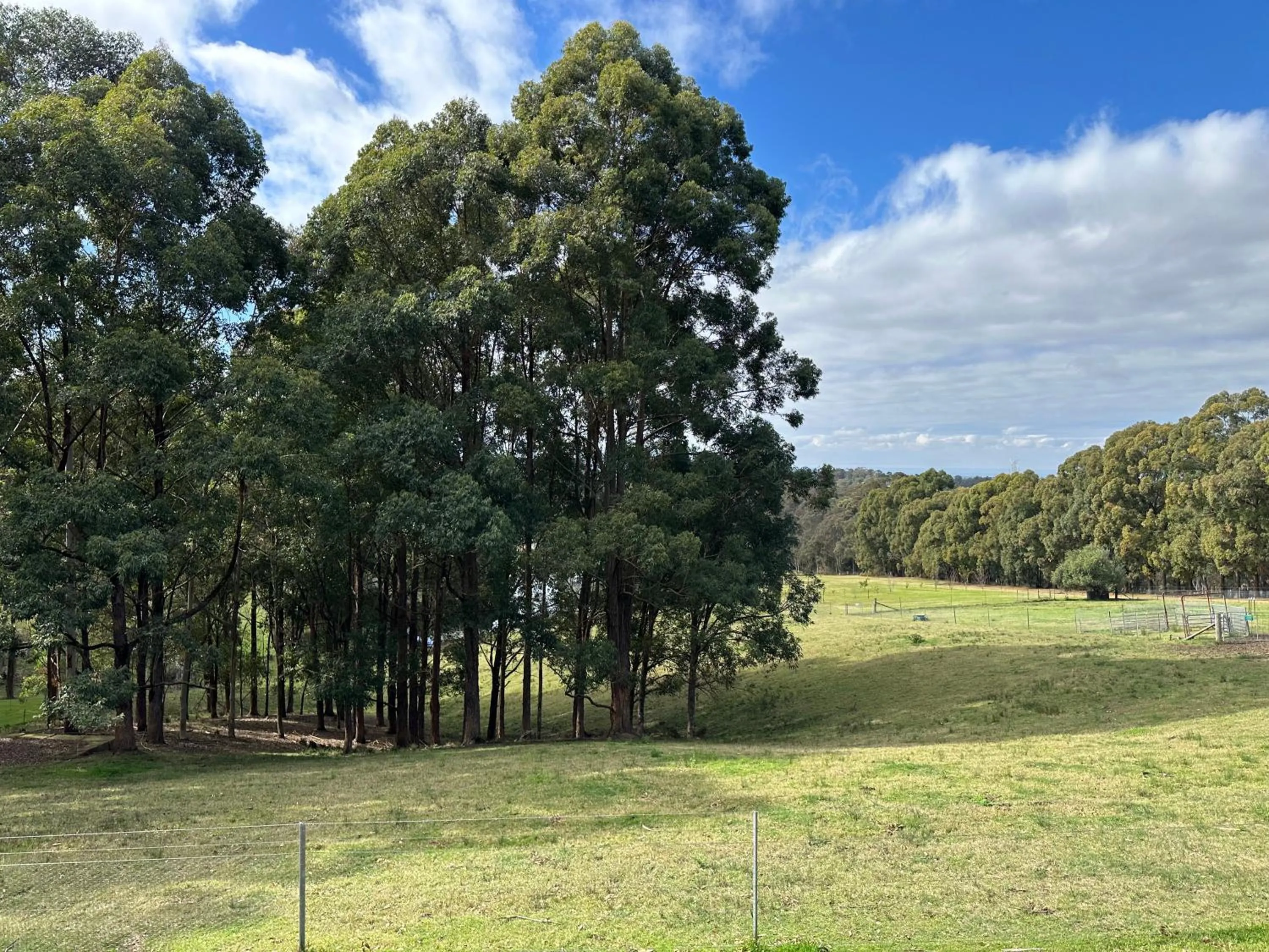 Spring in Blueberry Hills On Comleroy Farmstay - Self-Contained Cottages