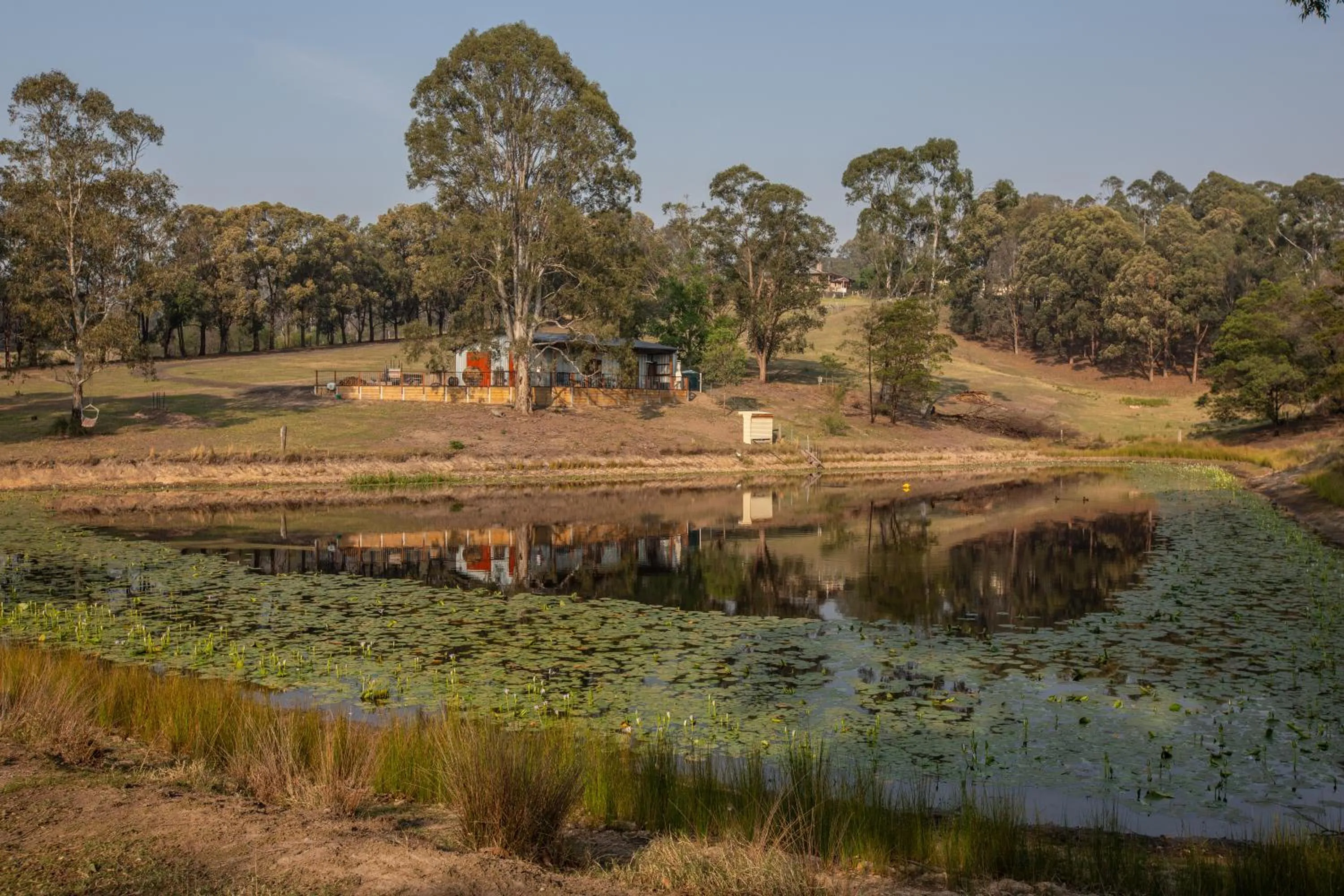 Natural landscape in Blueberry Hills On Comleroy Farmstay - Self-Contained Cottages