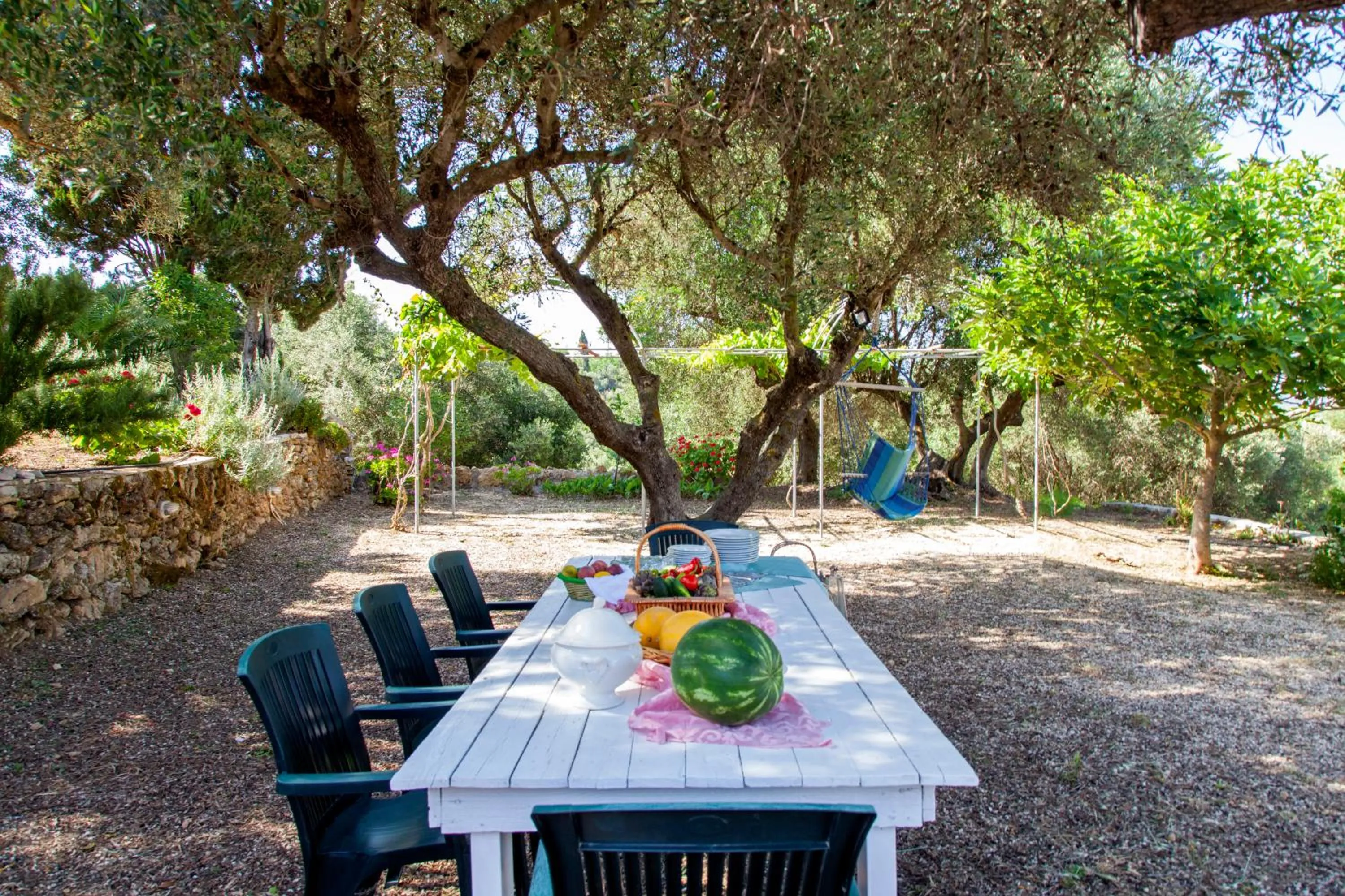 Day in Forestata Village