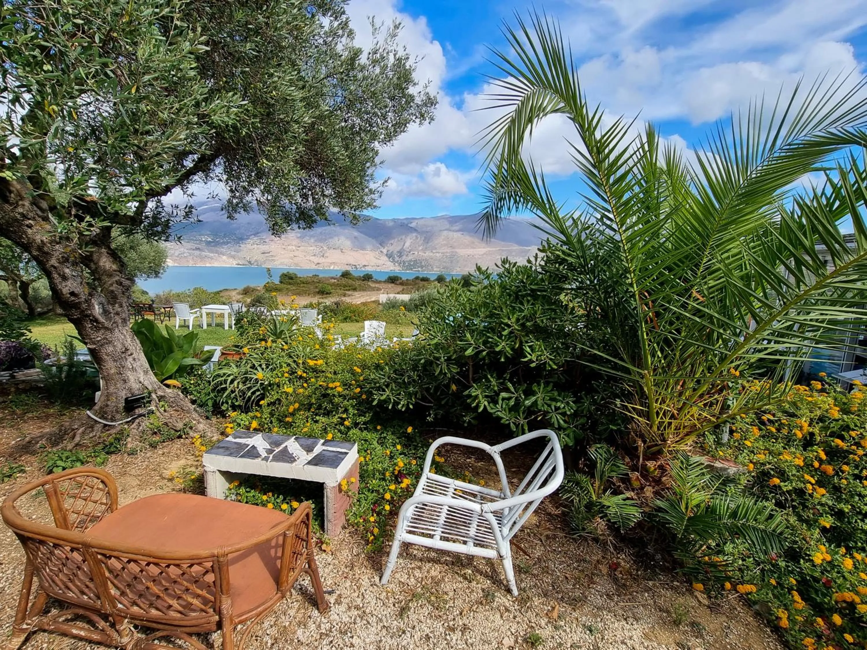 Day in Forestata Village