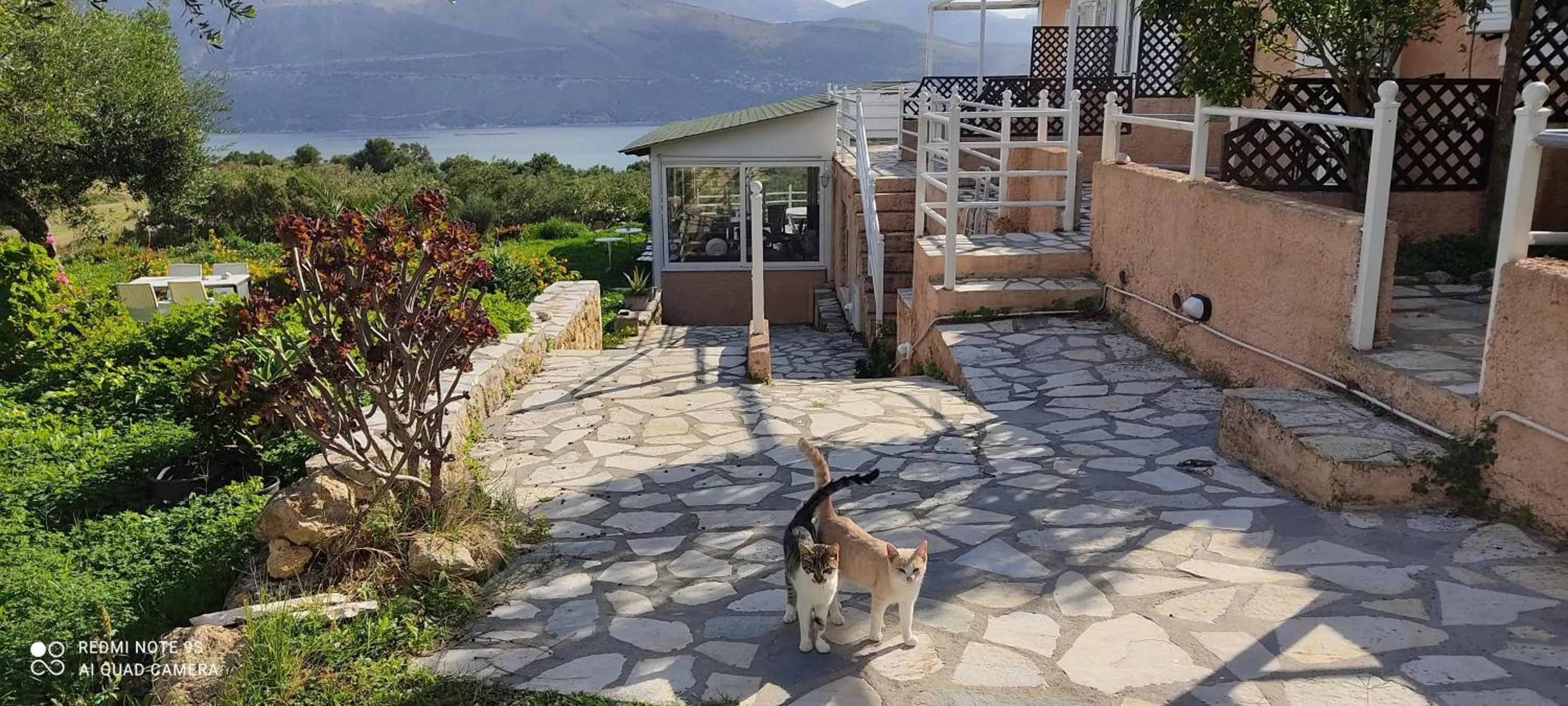 Property building in Forestata Village